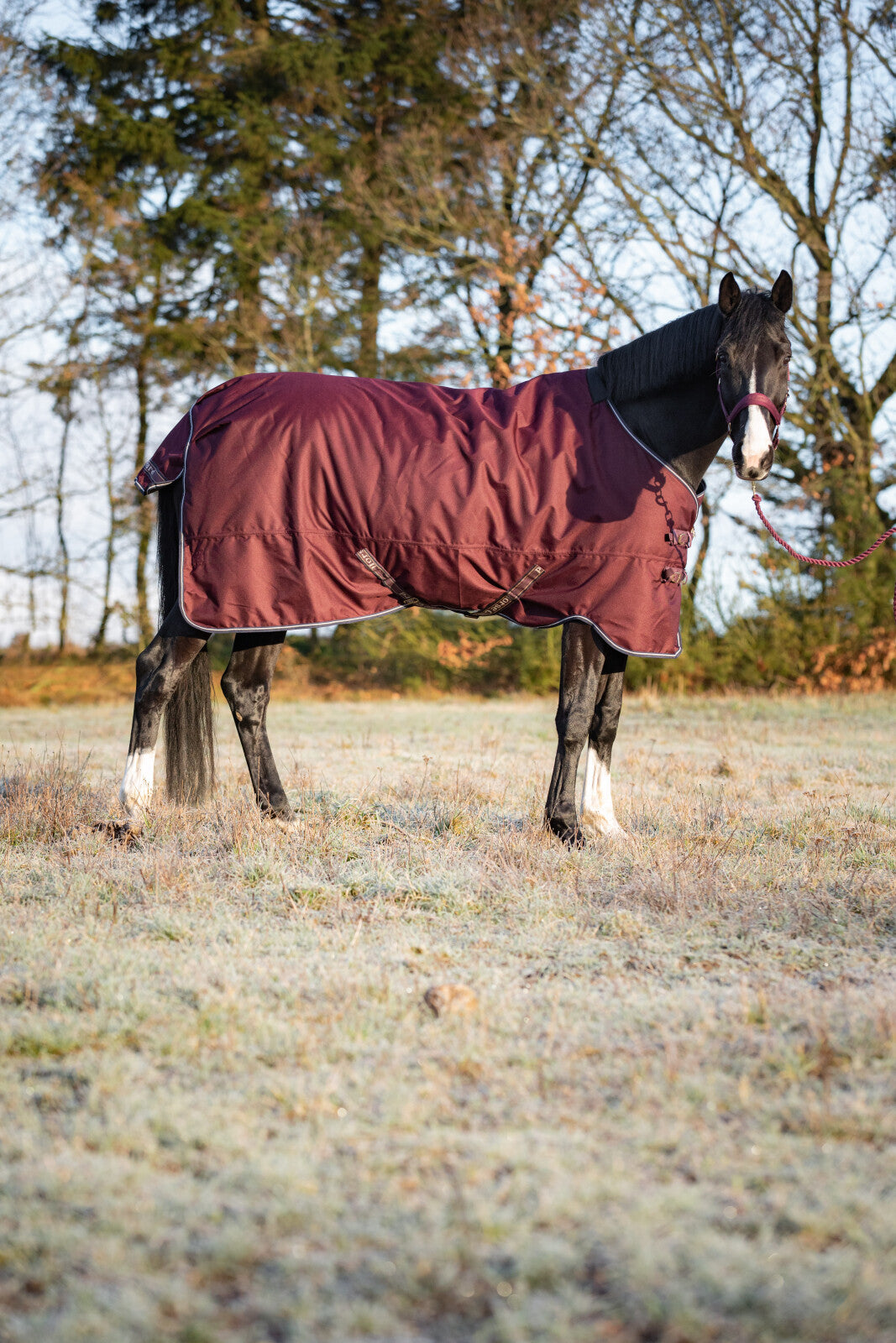 HorseGuard Landon 1200D Turnout täcke 100g