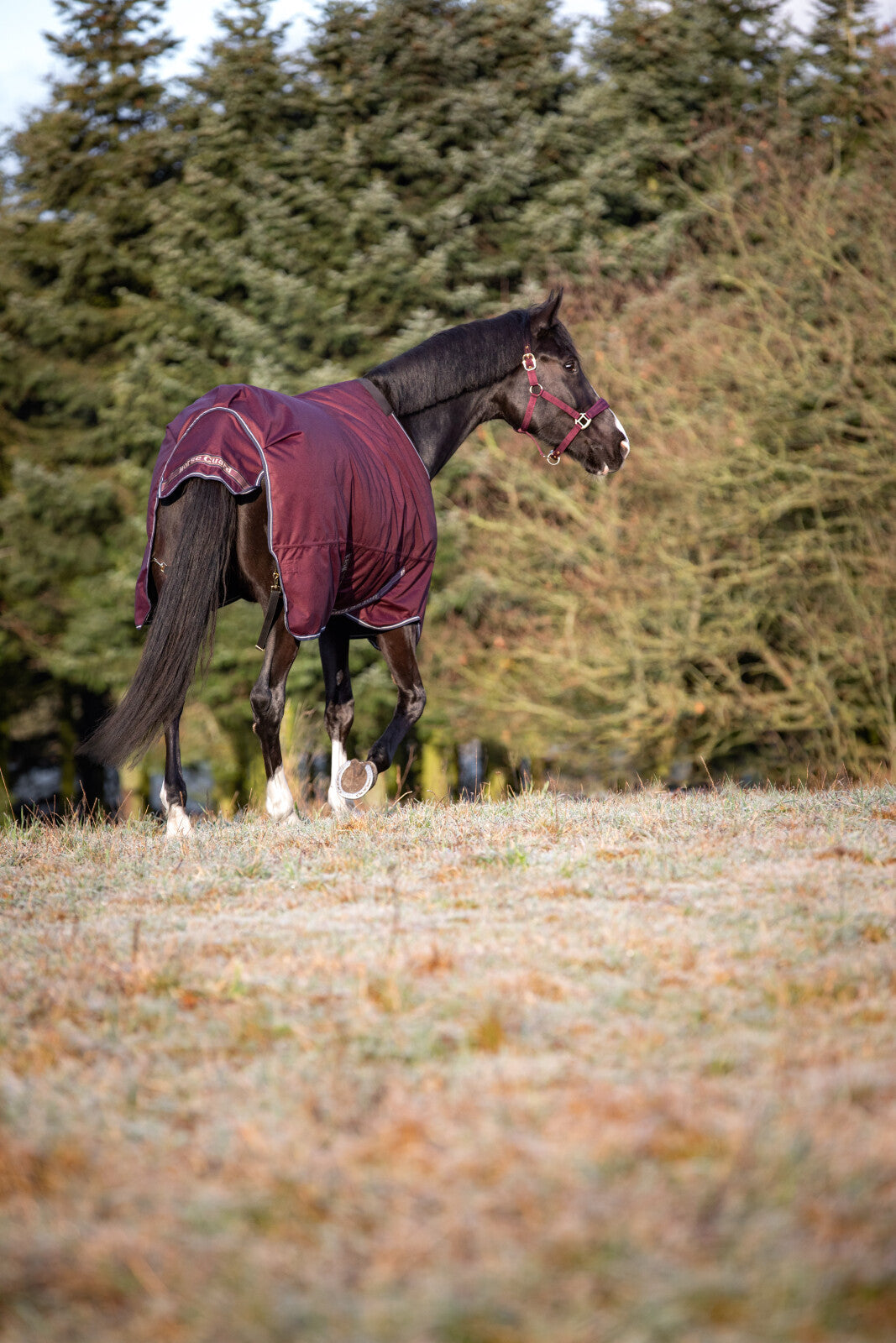 HorseGuard Landon 1200D Turnout täcke 100g