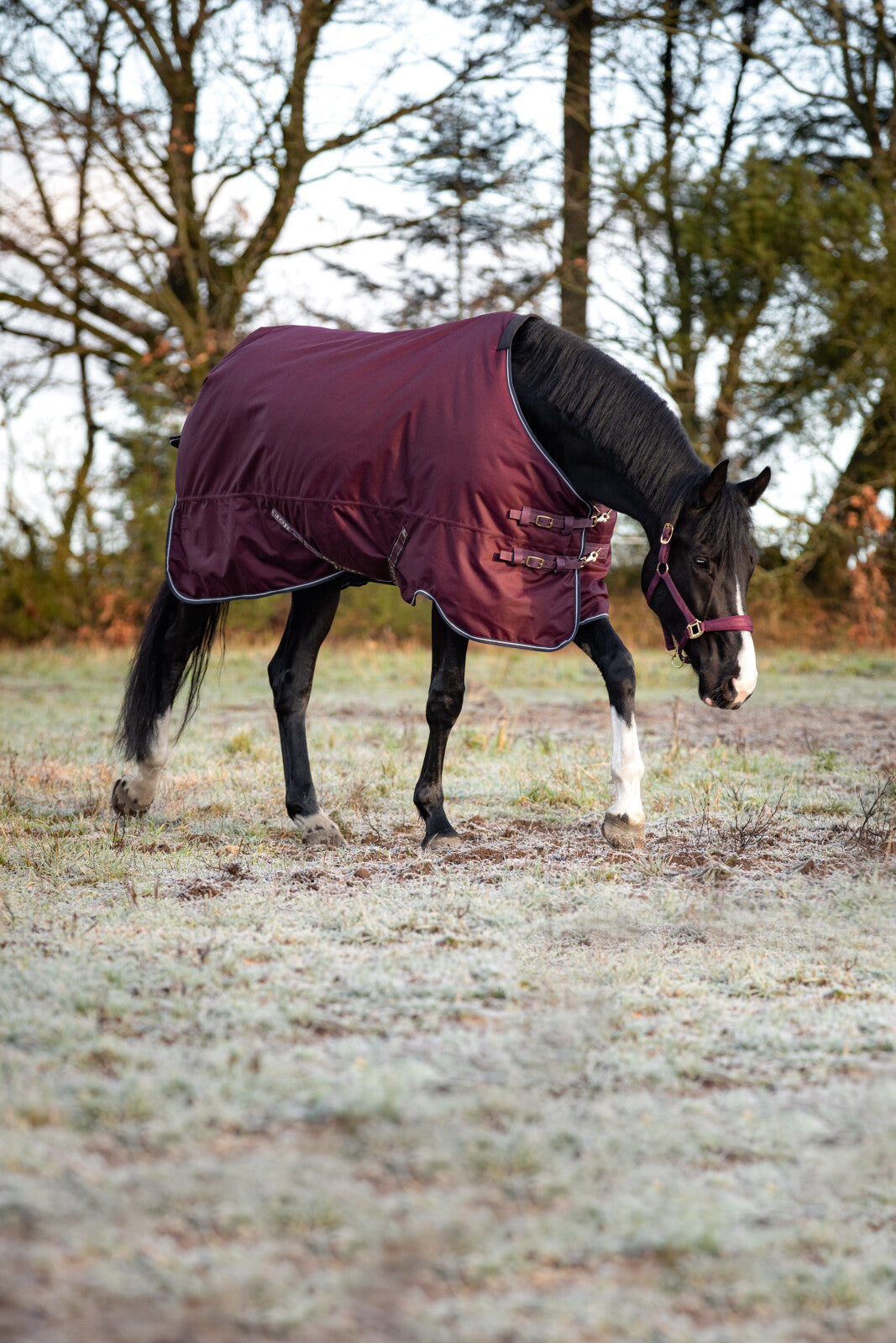 HorseGuard Landon 1200D Turnout täcke 100g