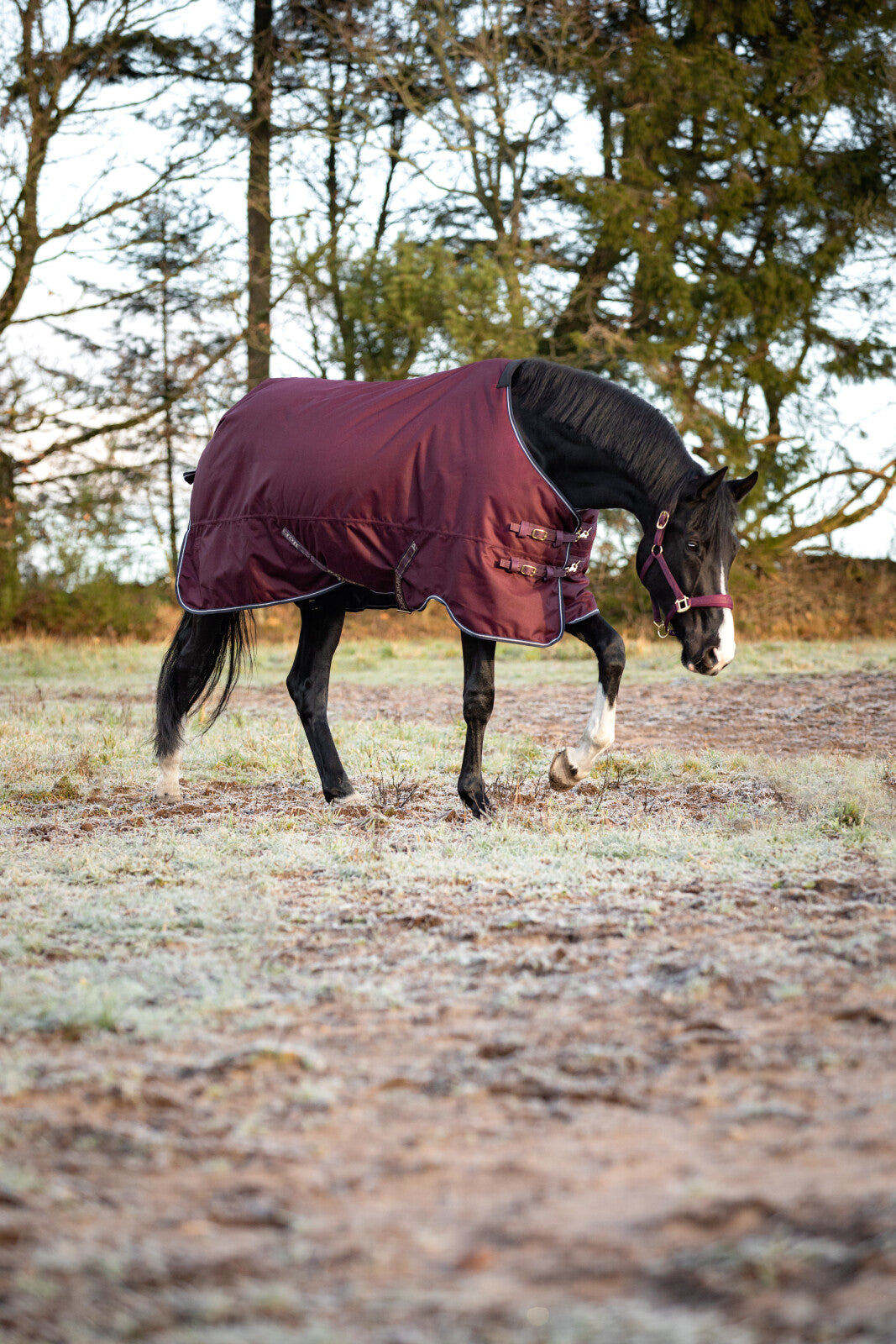 HorseGuard Landon 1200D Turnout täcke 100g