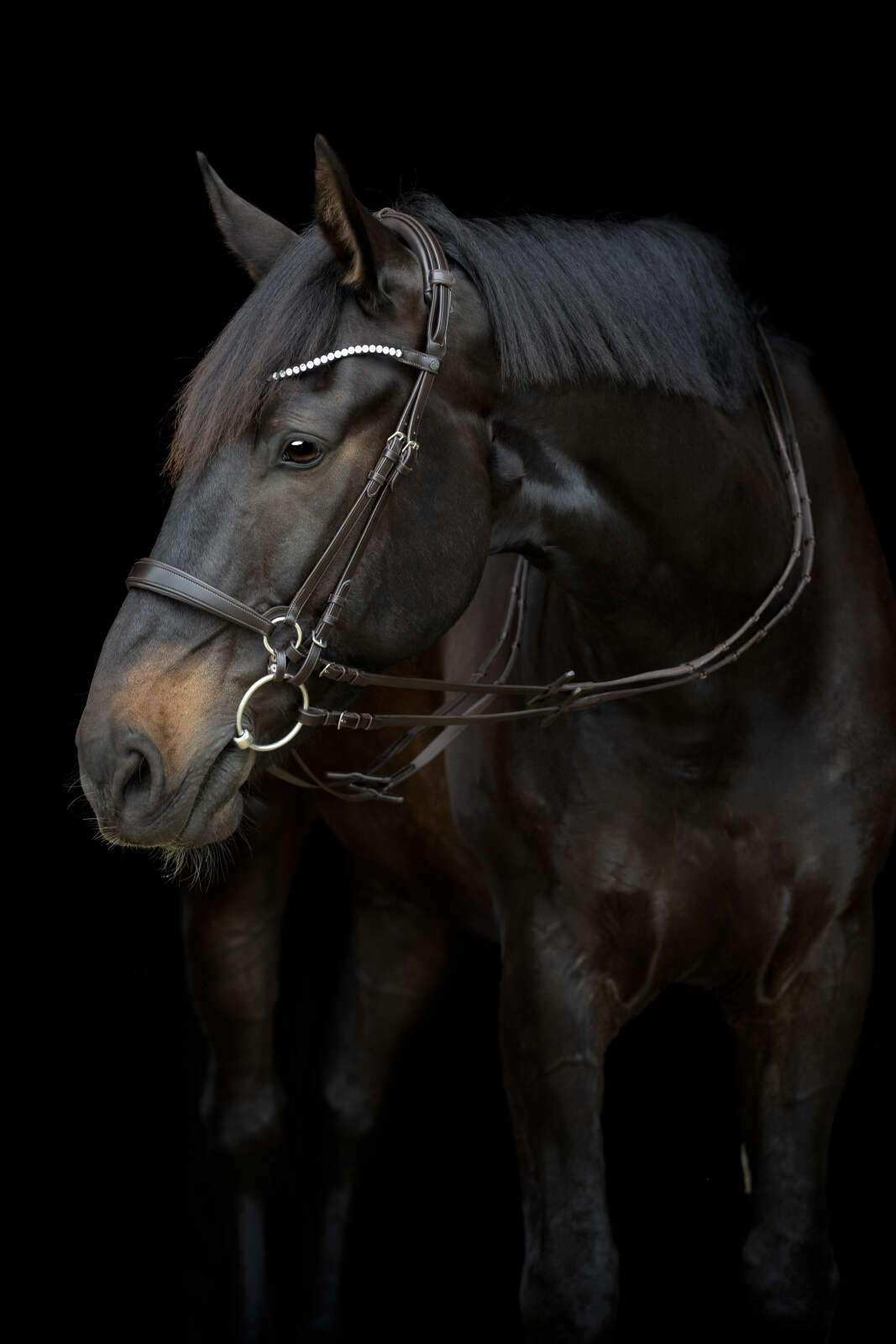 CATAGO Gentle nackstycke med vaddering