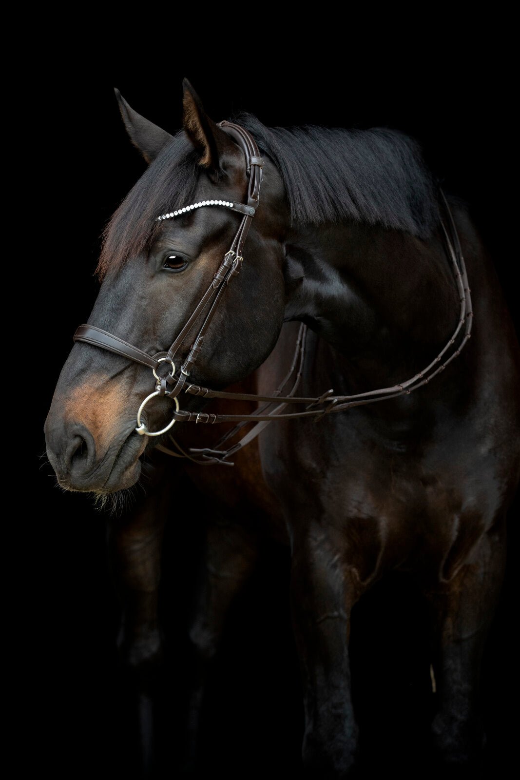 CATAGO Gentle padded headpiece - Unamari
