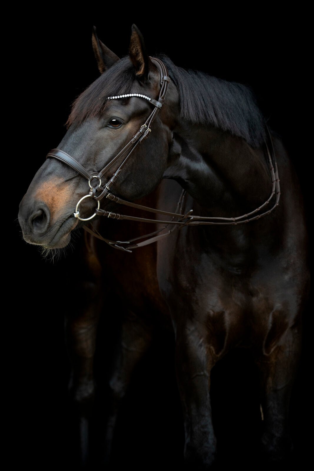 CATAGO Gentle cheekpieces - Unamari