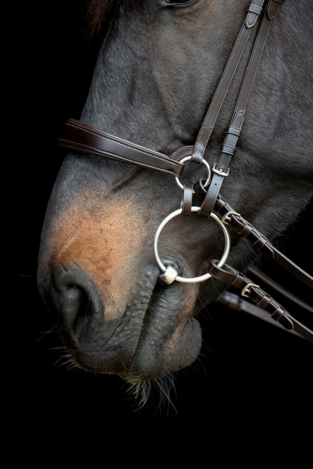 CATAGO Gentle connecting rings - Unamari