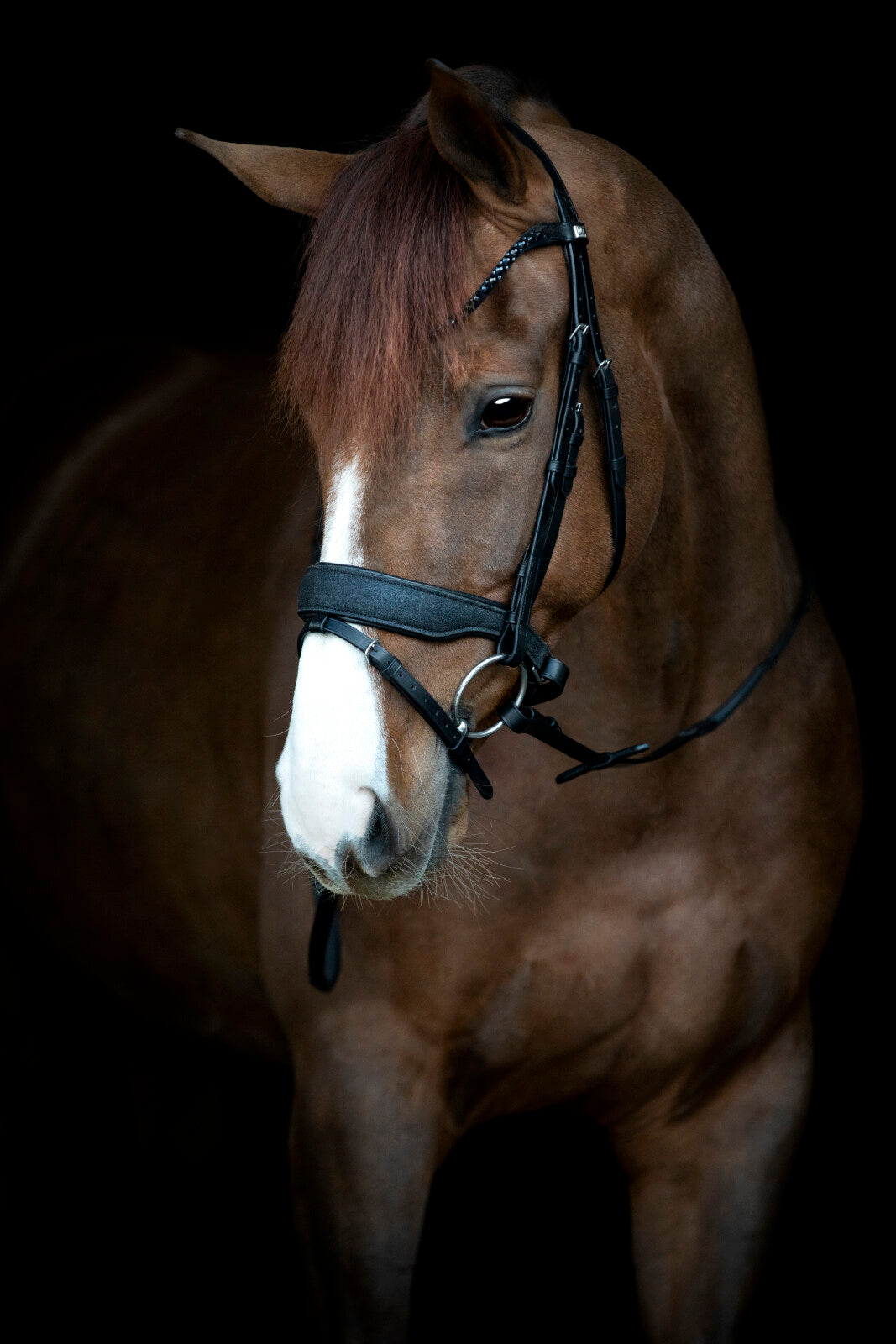 HorseGuard Cryll 24.2 trense komb. nb m/tilbagetræk