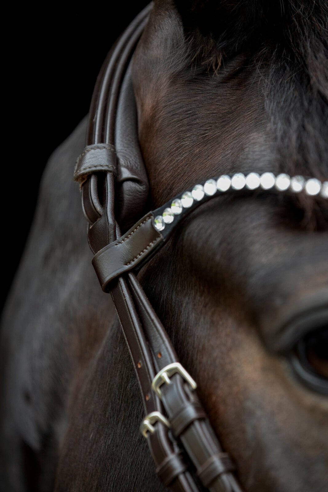 CATAGO Gentle browband - Unamari