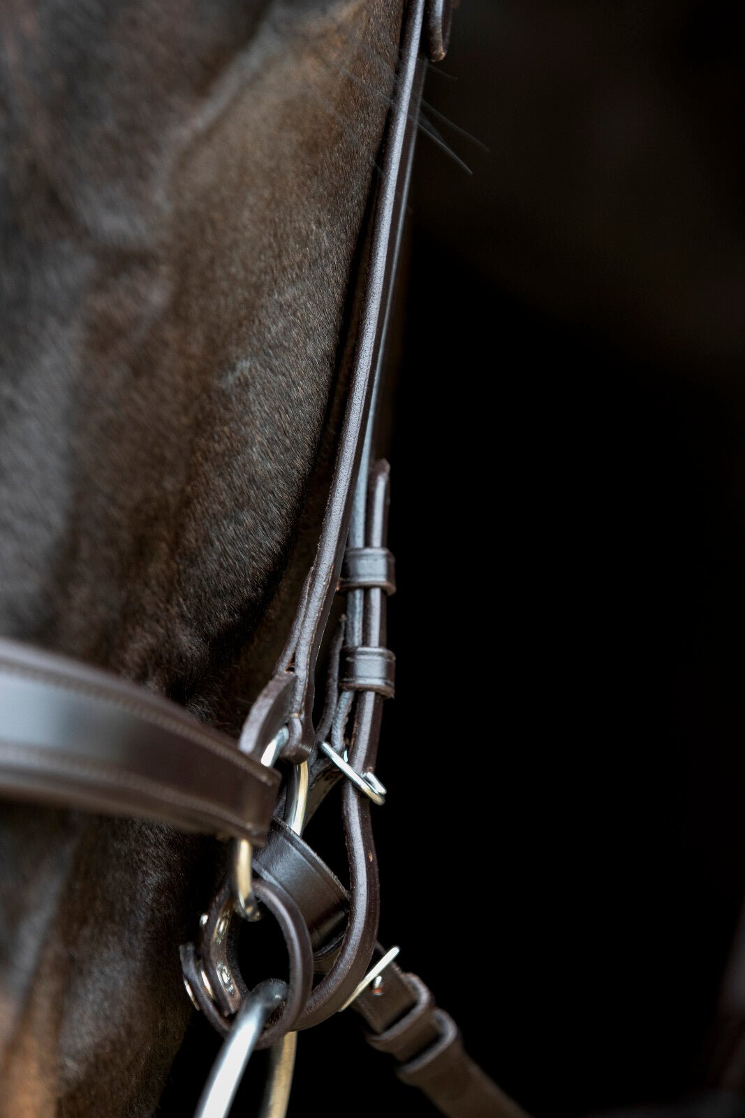 CATAGO Gentle connecting rings - Unamari