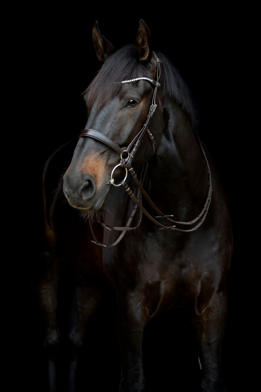 CATAGO Gentle Kæberem