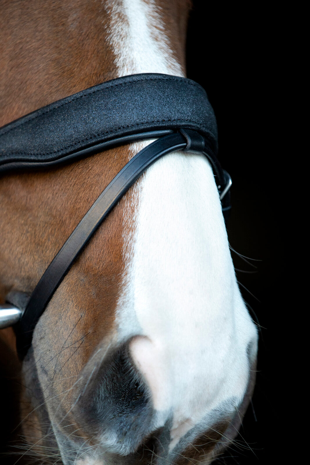 HorseGuard Cryll 24.2 trense komb. nb m/tilbagetræk