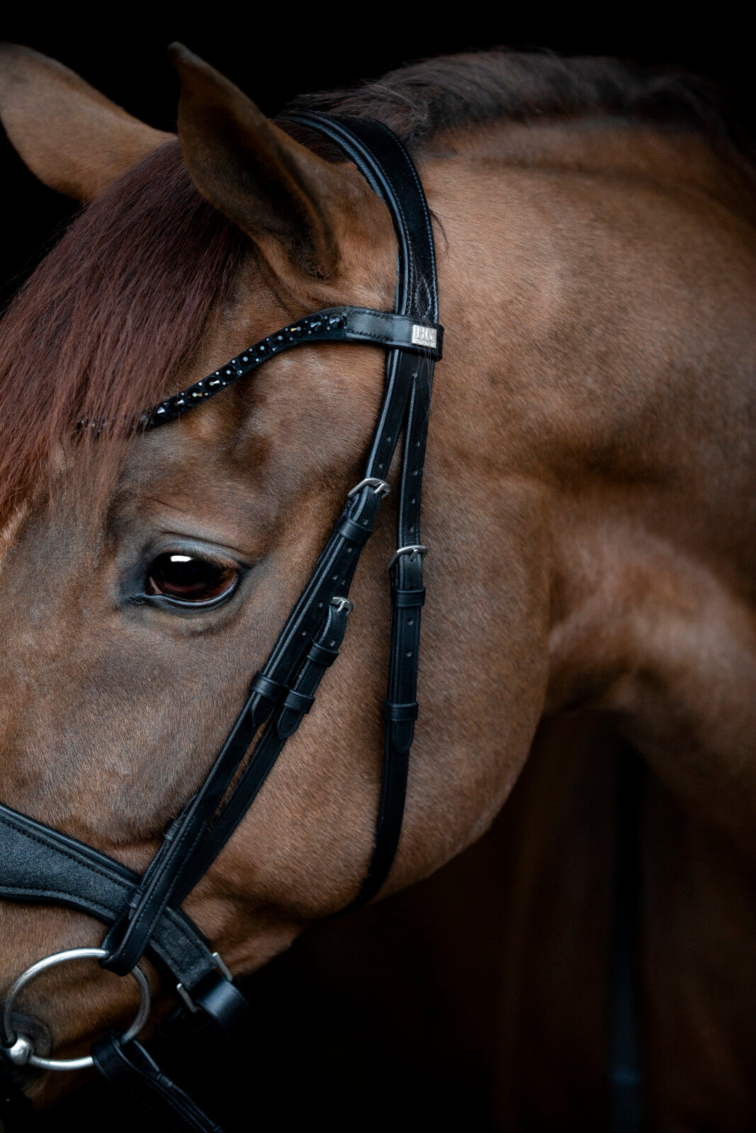 HorseGuard Cryll 24.2 trense komb. nb m/tilbagetræk