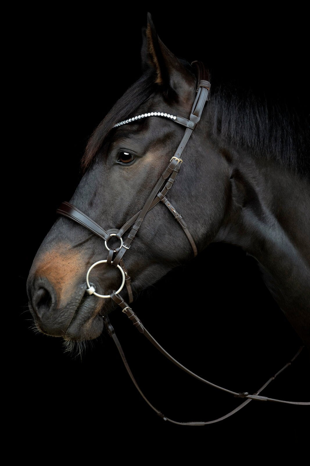 CATAGO Gentle nose strap - Unamari