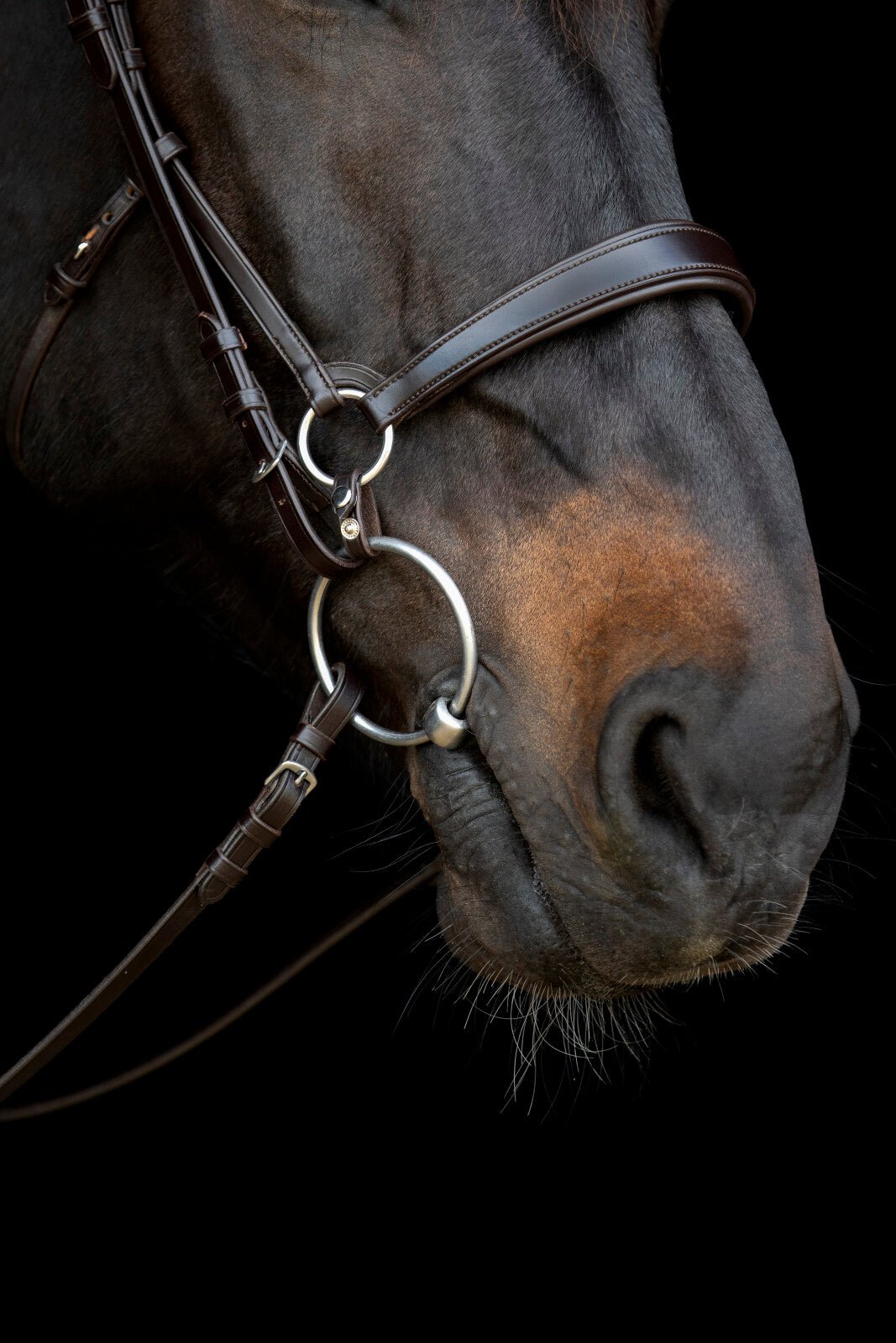 CATAGO Gentle connecting rings - Unamari