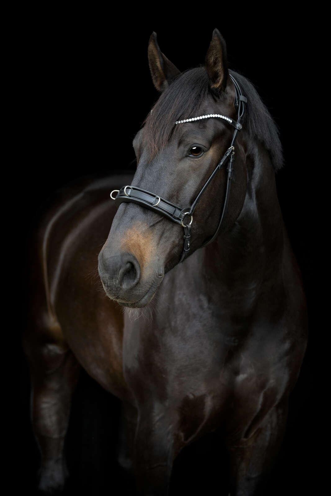 Catago Gentle kapson nosgrimma med vaddering