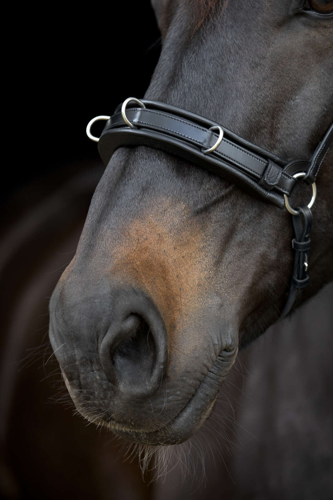 CATAGO Gentle kapson nosgrimma med vaddering