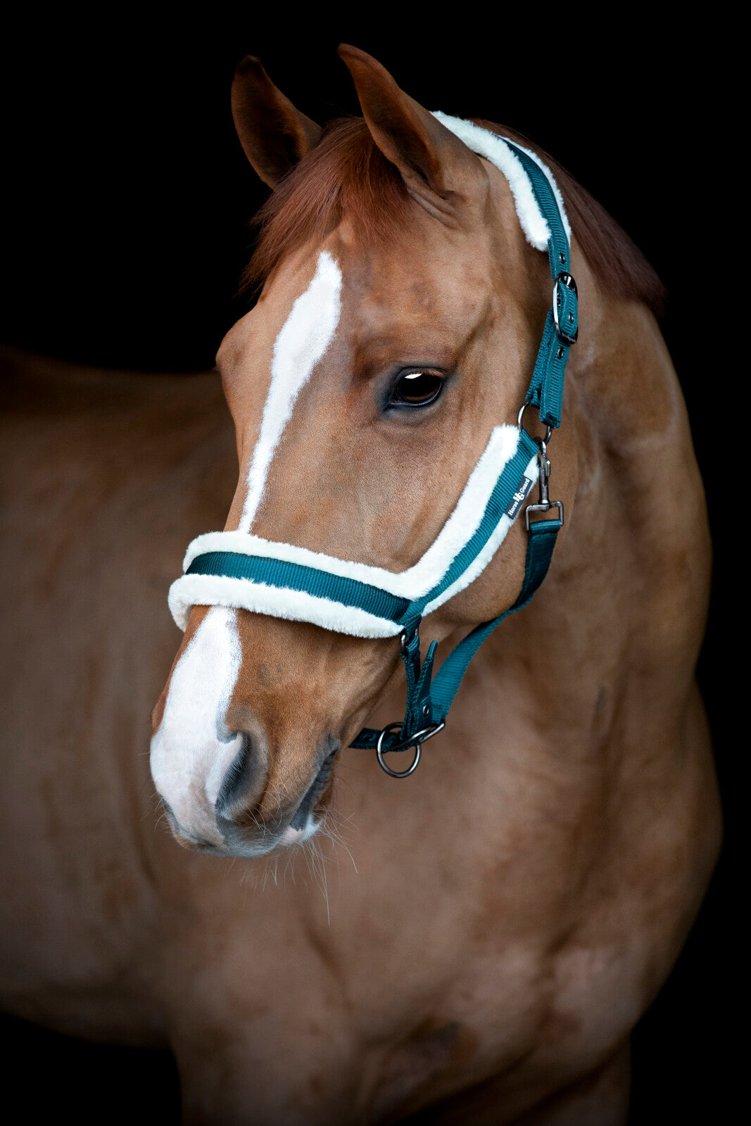 HorseGuard Anatomisk grimma med fuskpäls