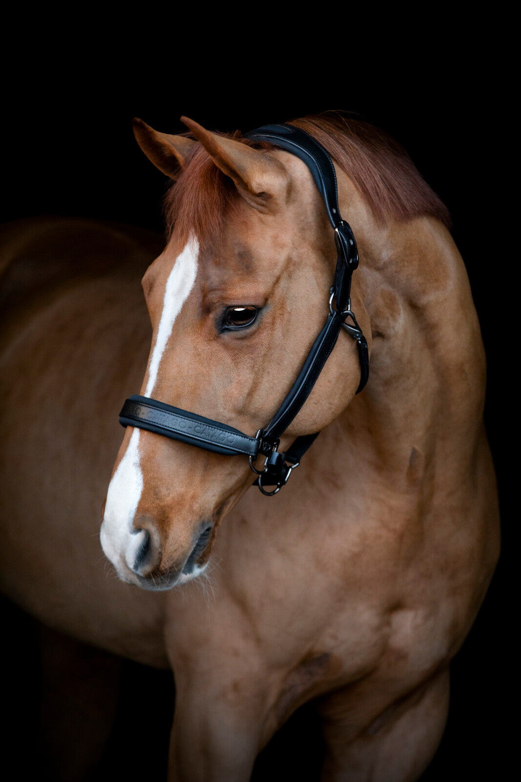 CATAGO Brielle läder logo grimma