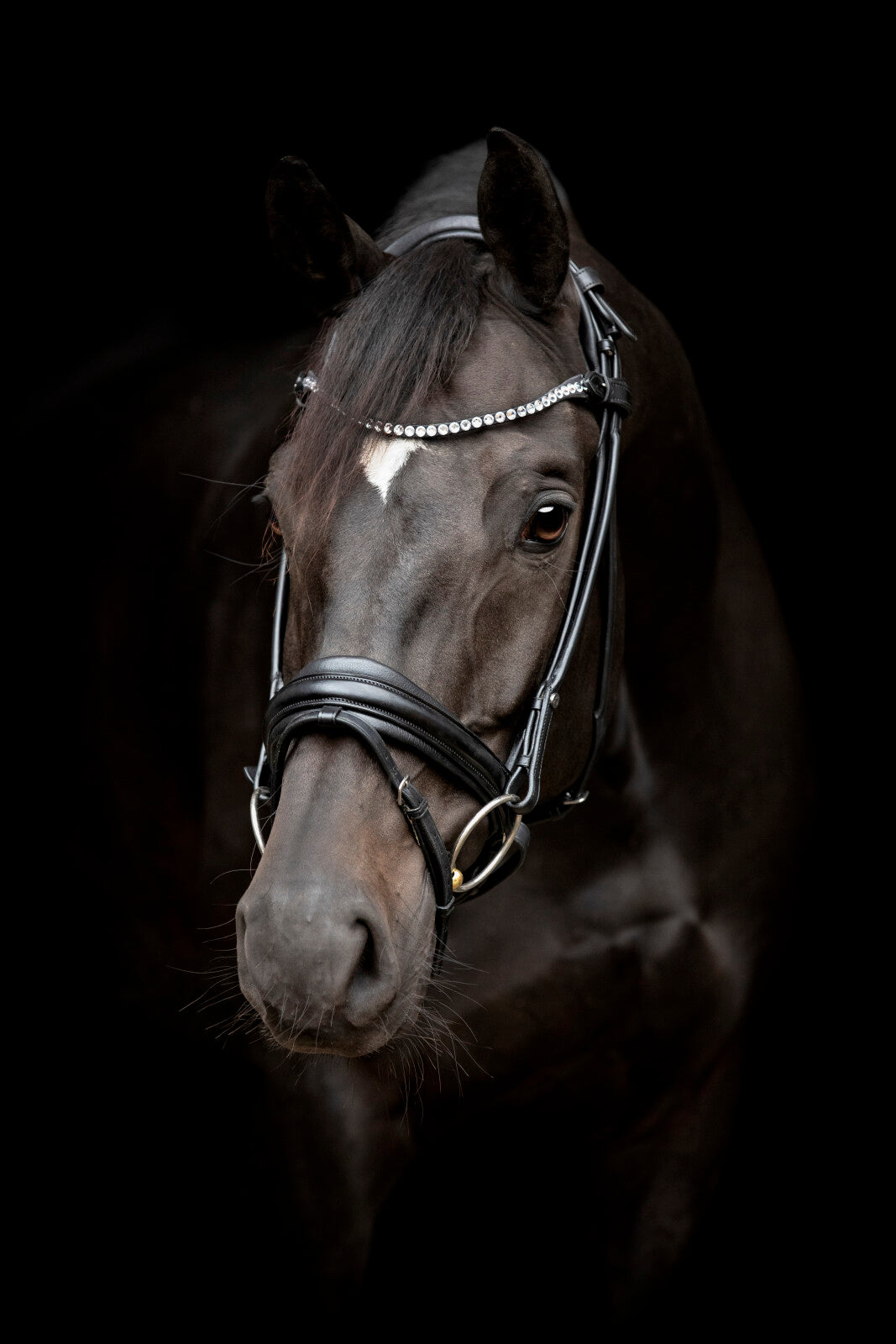 CATAGO Shay rundsyet trense kombineret m/tbt