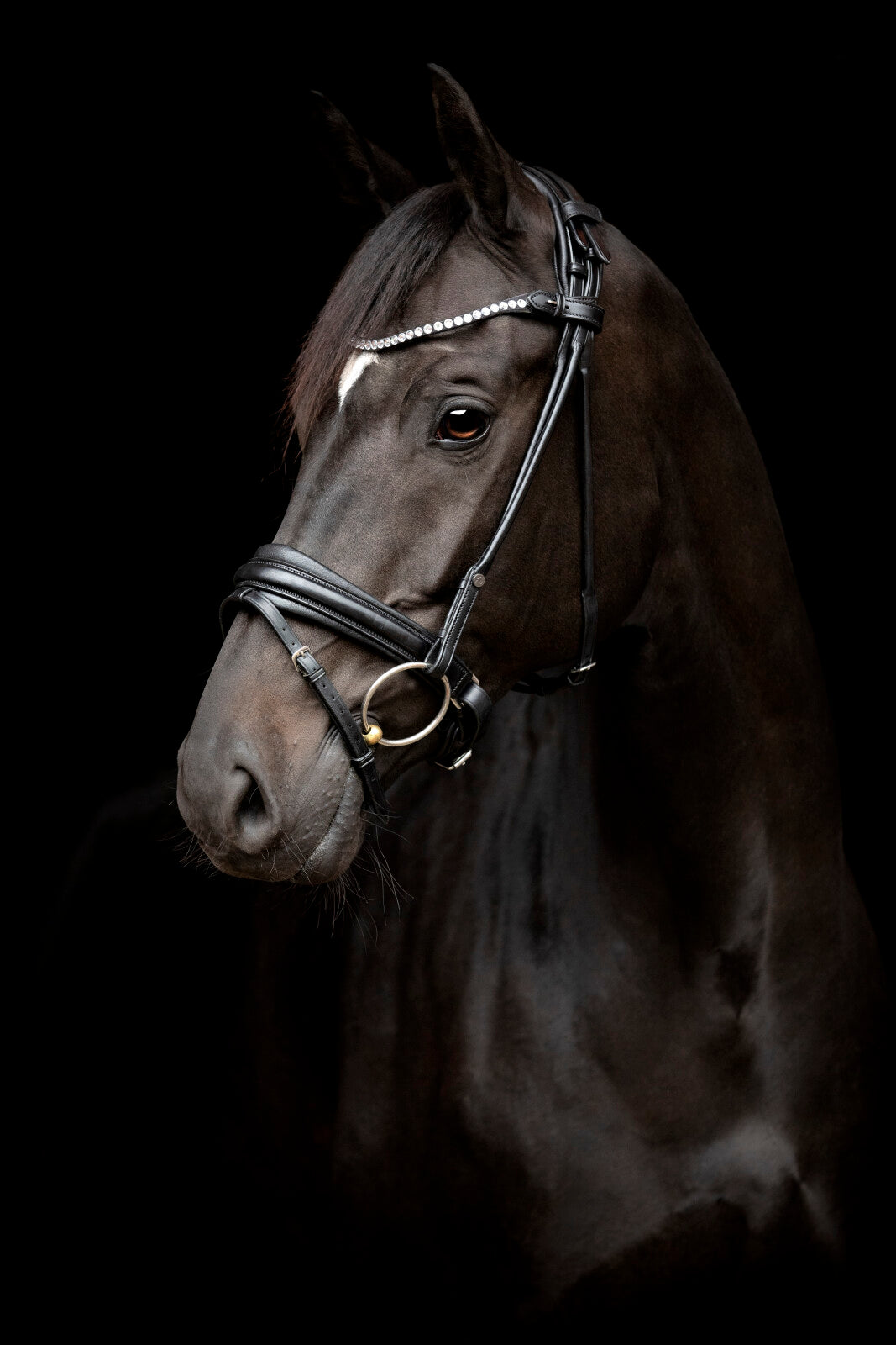 CATAGO Shay rundsyet trense kombineret m/tbt