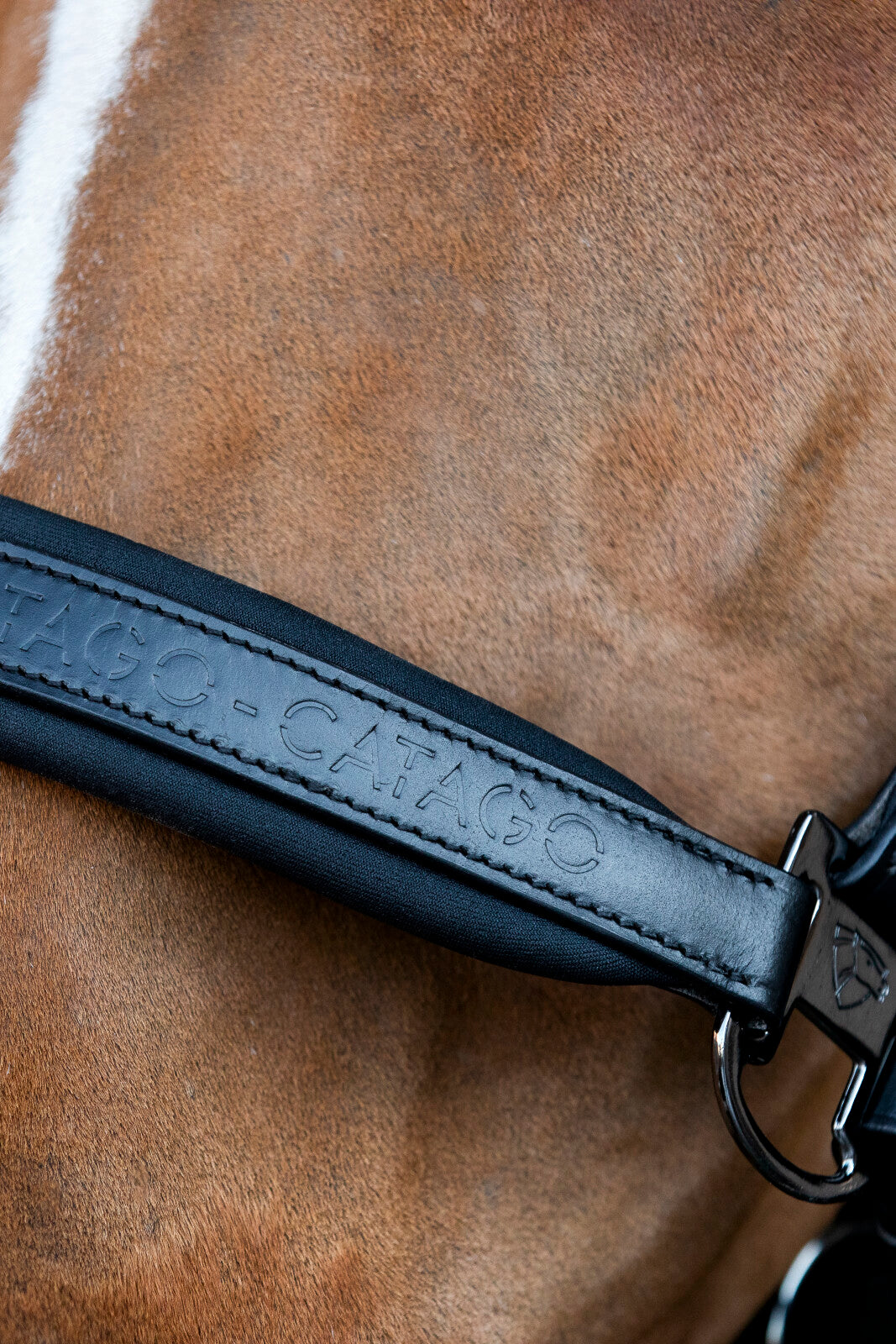 CATAGO Brielle läder logo grimma