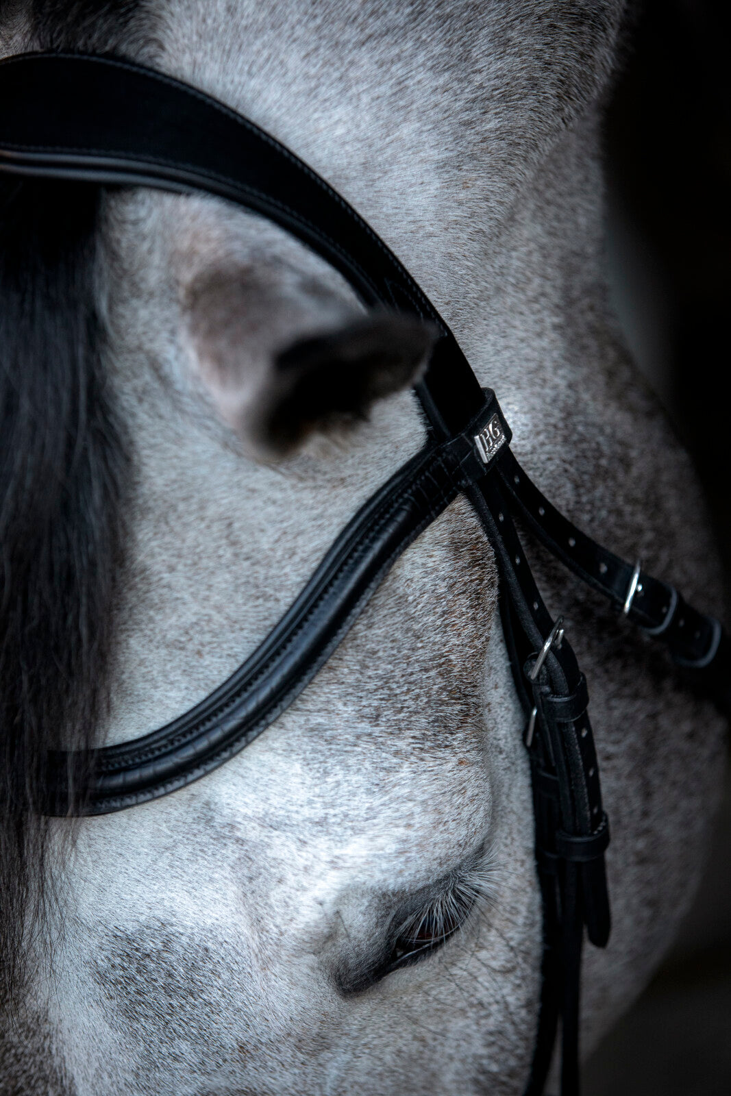 HorseGuard Emi 24.2 Trense mit kombiniertem Reithalfter