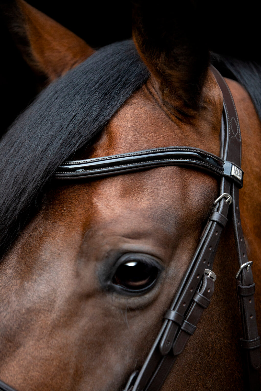 HorseGuard CRYLL 24.1 bridle w/flash and pullback