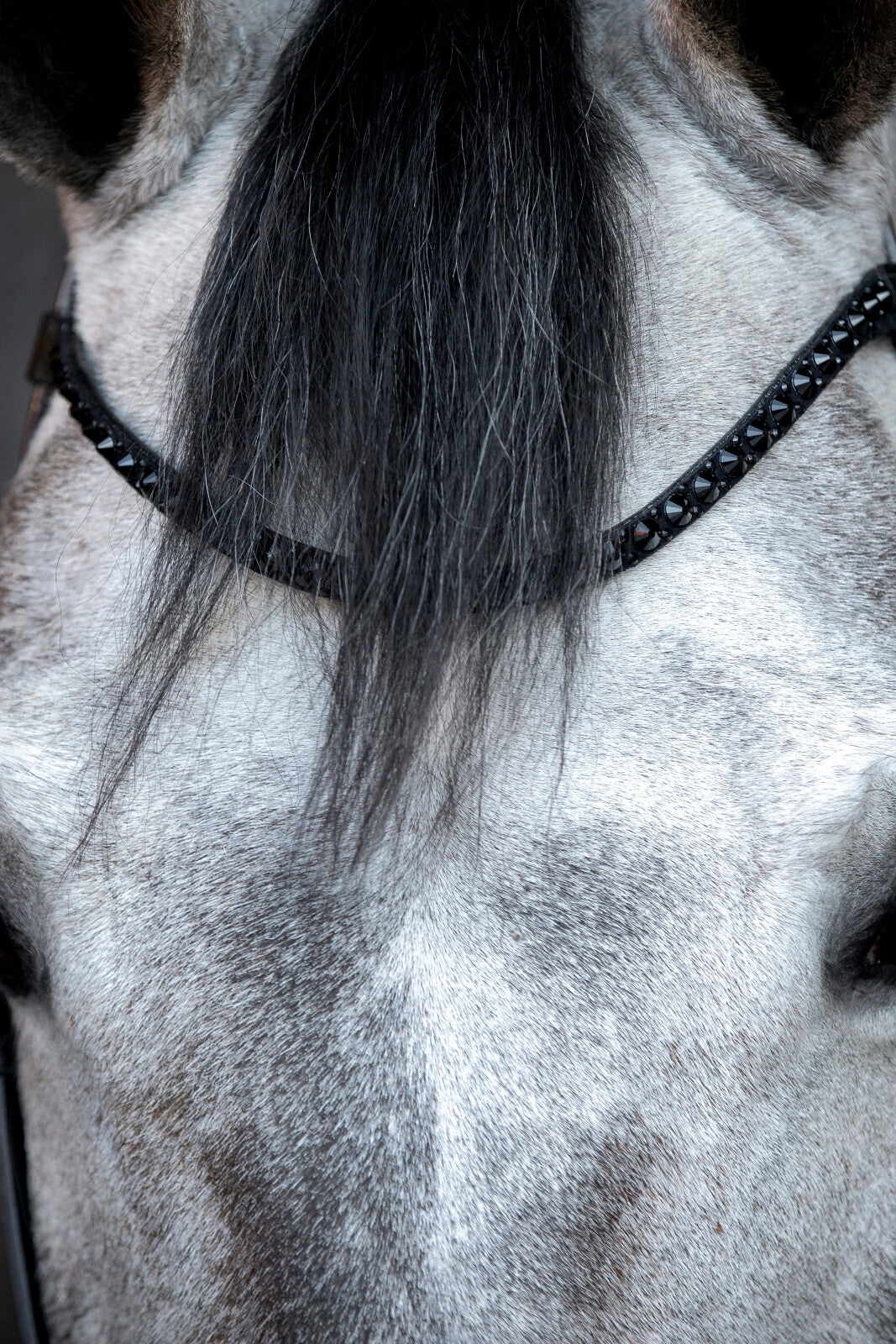 HorseGuard Cryll 24.2 träns med hängande nosgrimma