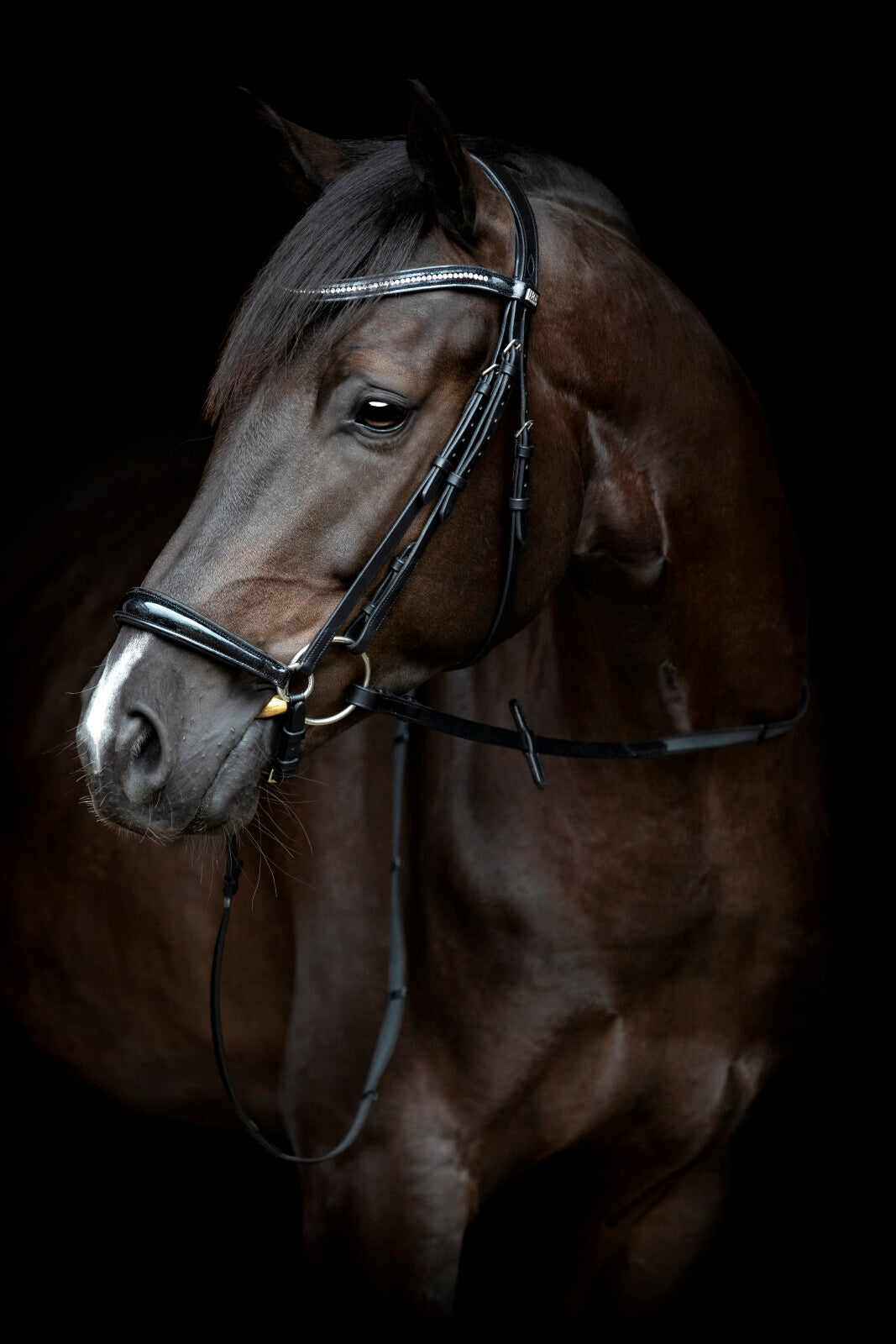 HorseGuard Cryll 24.1 trense m/hannoveransk nb