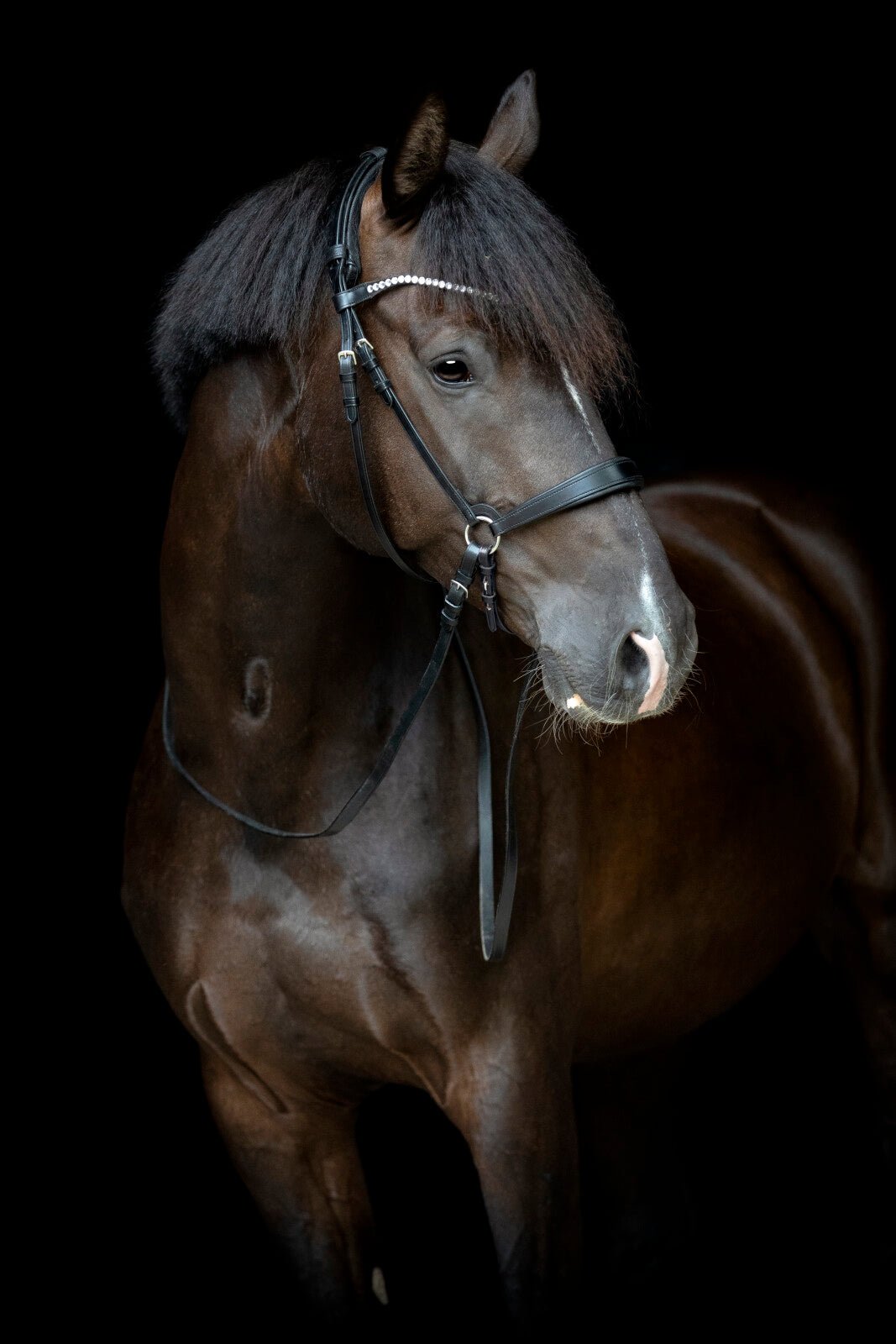 CATAGO Gentle nose strap - Unamari