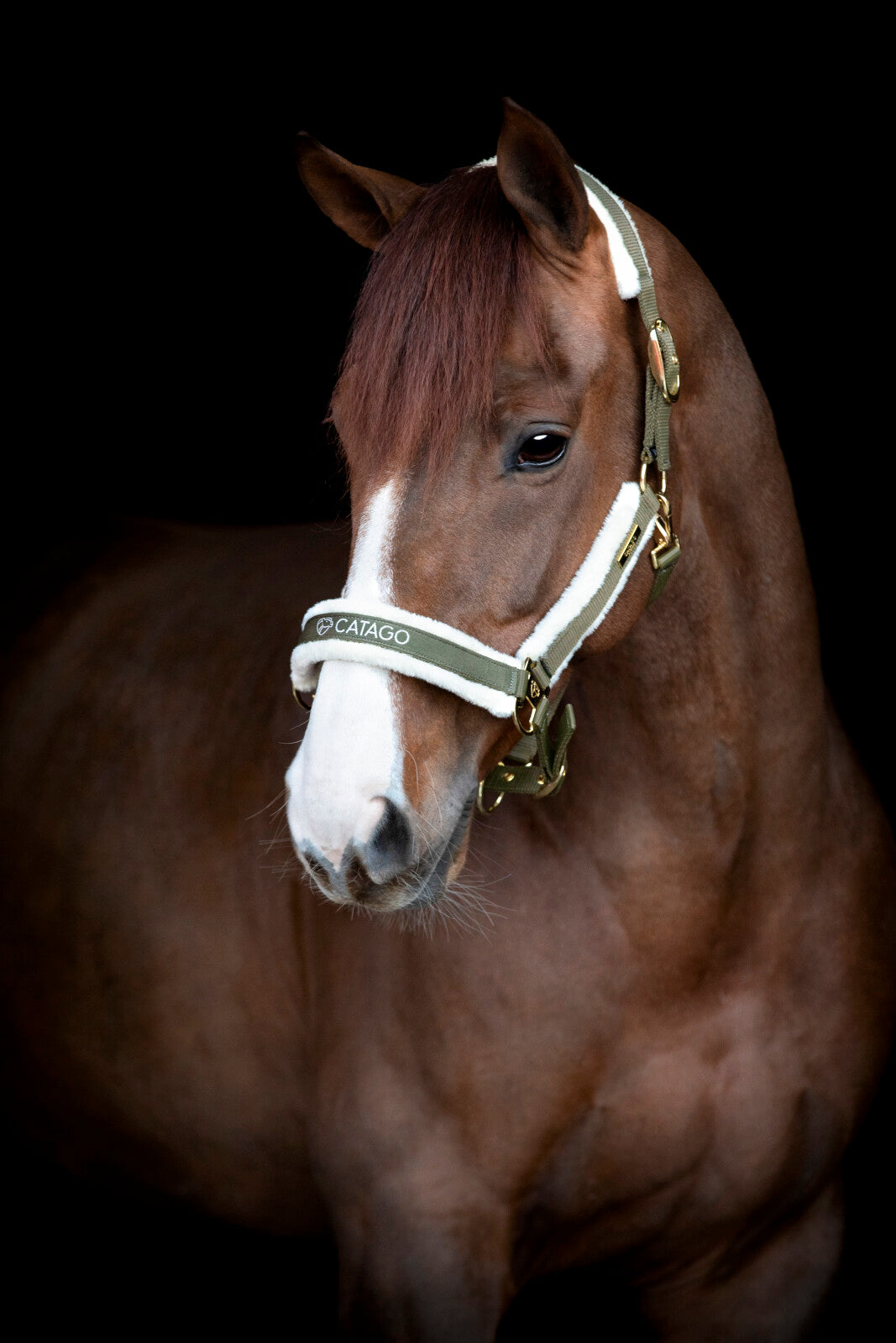 CATAGO Bea Halfter