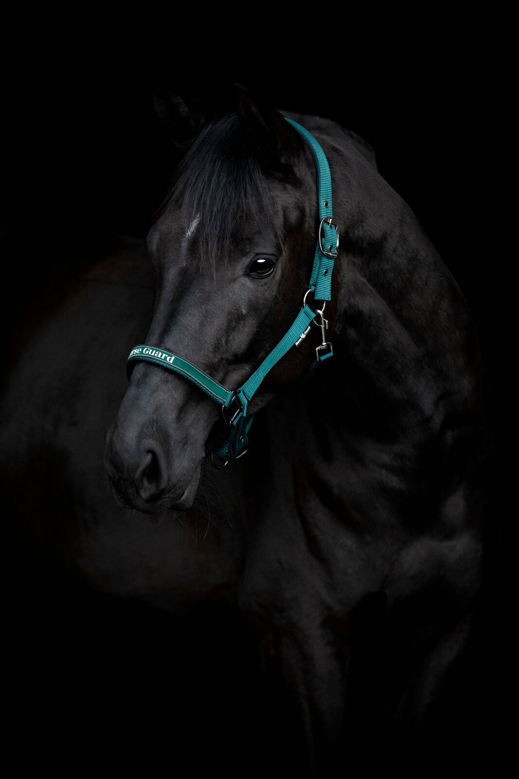 HorseGuard Sandra halfter