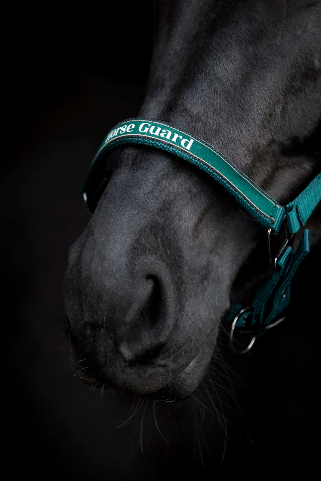 HorseGuard Sandra halfter