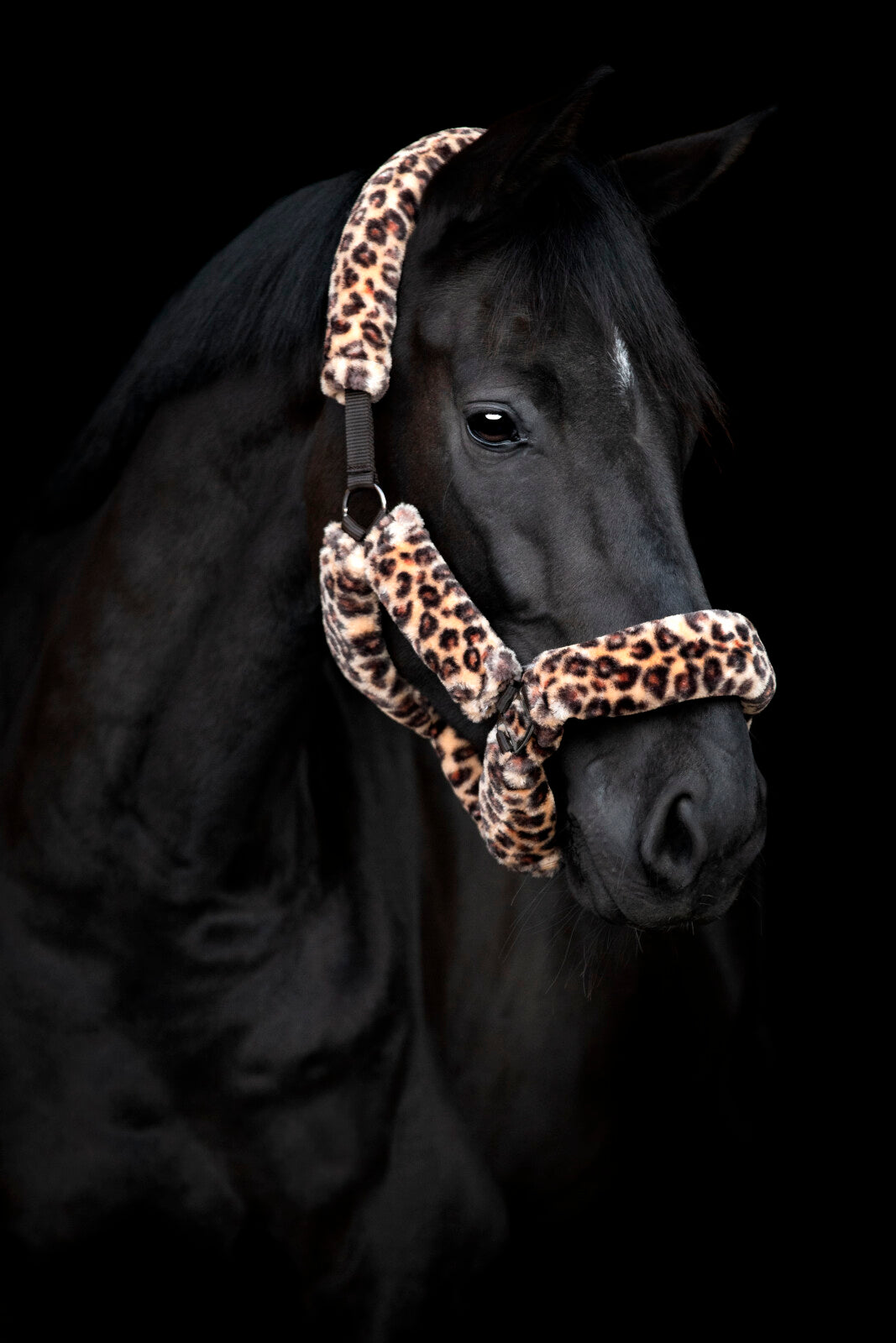 HorseGuard Leopard grimma