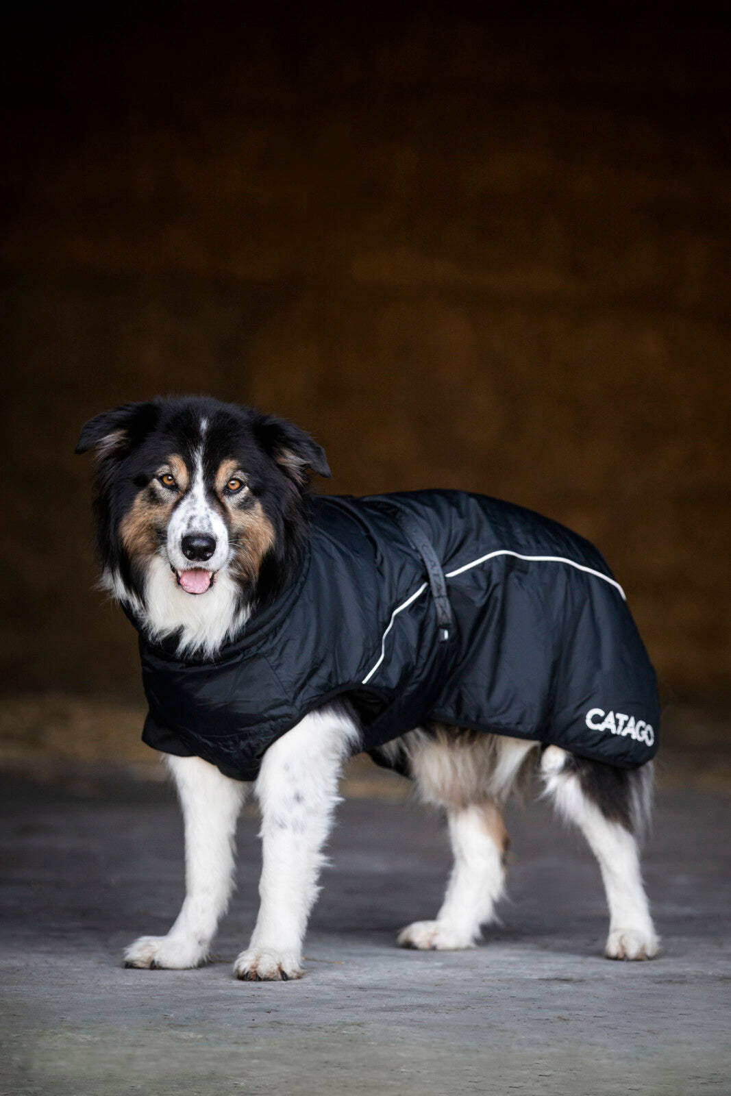 CATAGO FIR-Tech Winter dog rug