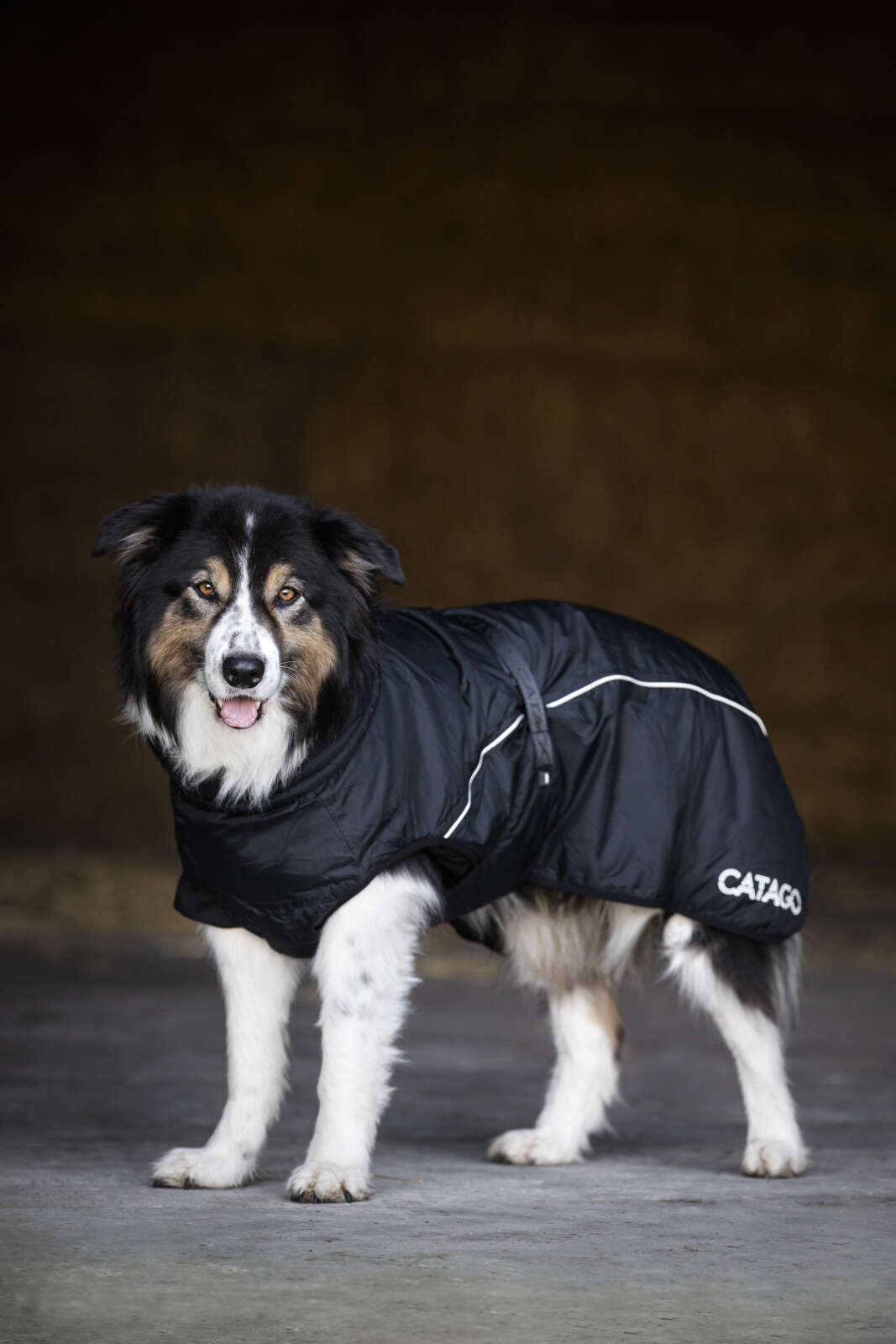 CATAGO FIR-Tech Vinter hundedækken