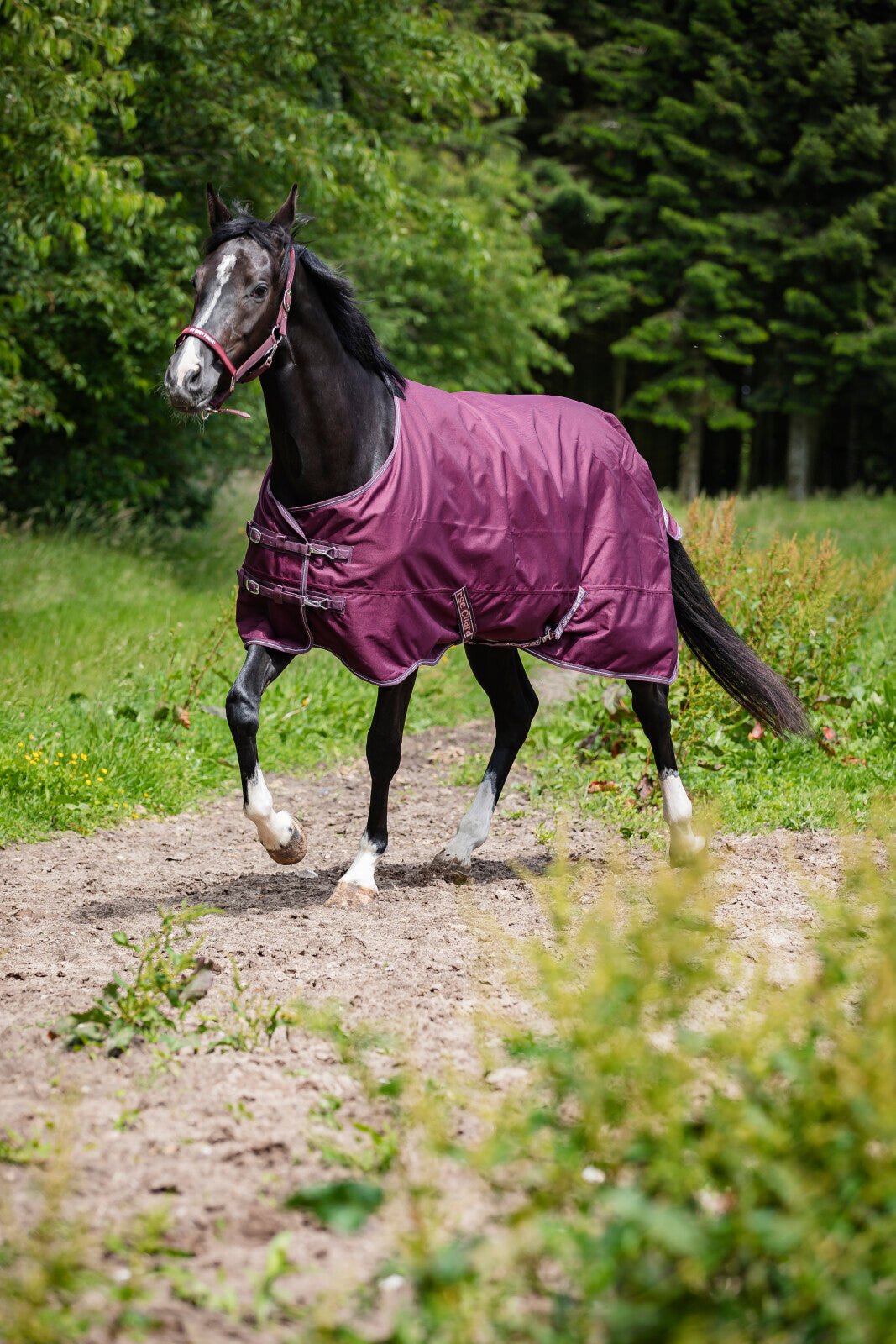 HorseGuard Landon 1200D rug, standard neck, 0g - Unamari