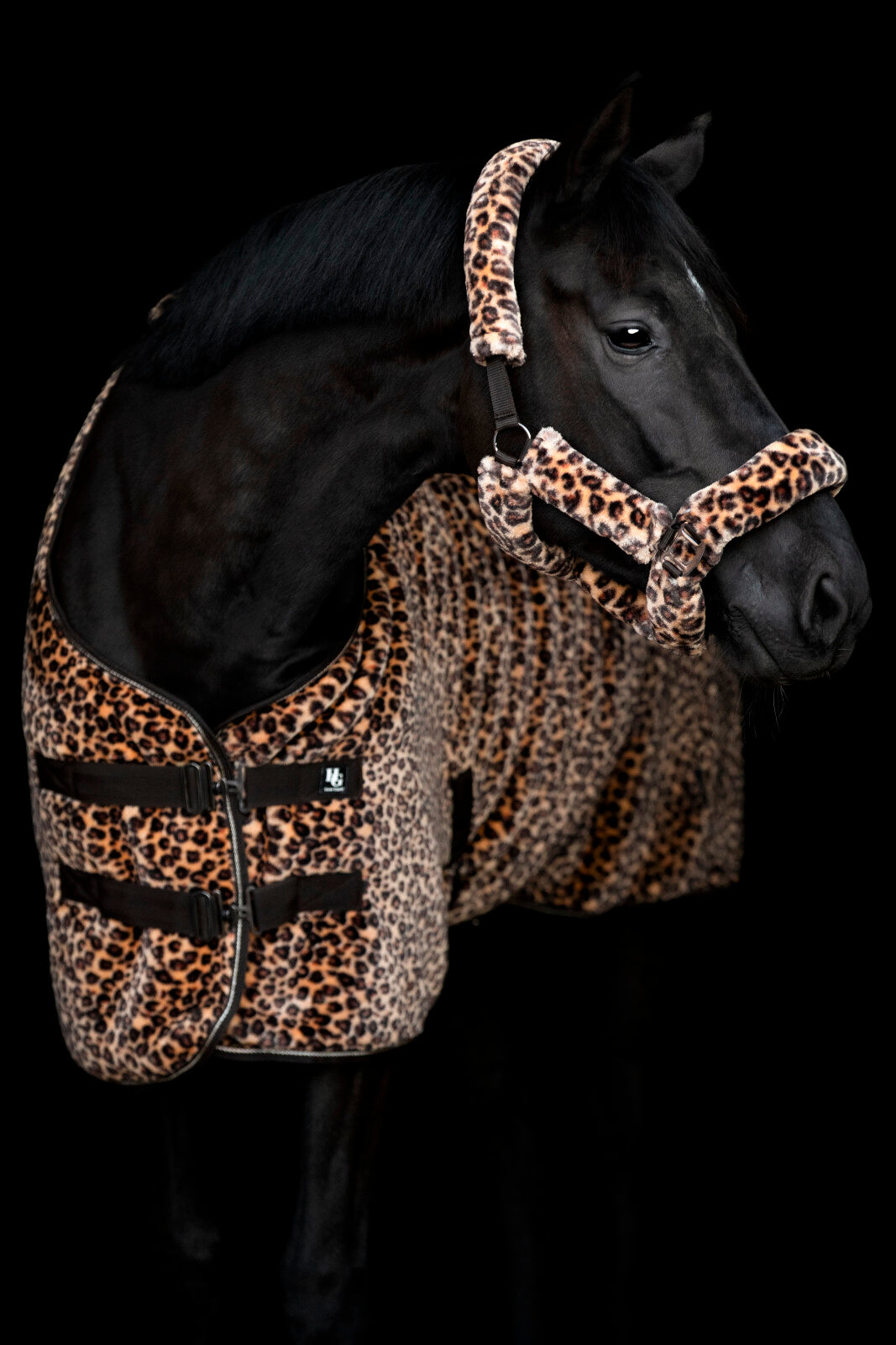 HorseGuard Leopard grimma
