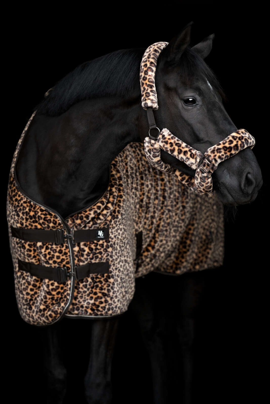 HorseGuard Leopard grimma