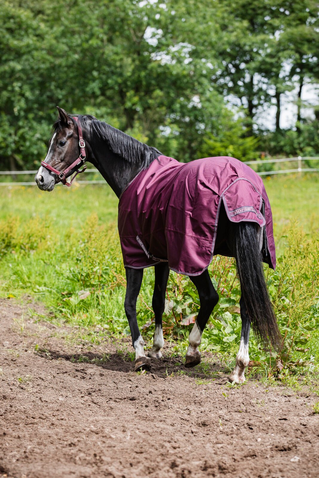 HorseGuard Landon 1200D rug, standard neck, 0g - Unamari