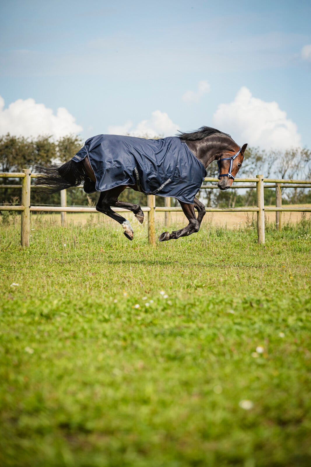 HorseGuard Landon 1200D Turnout dækken standard hals 0g