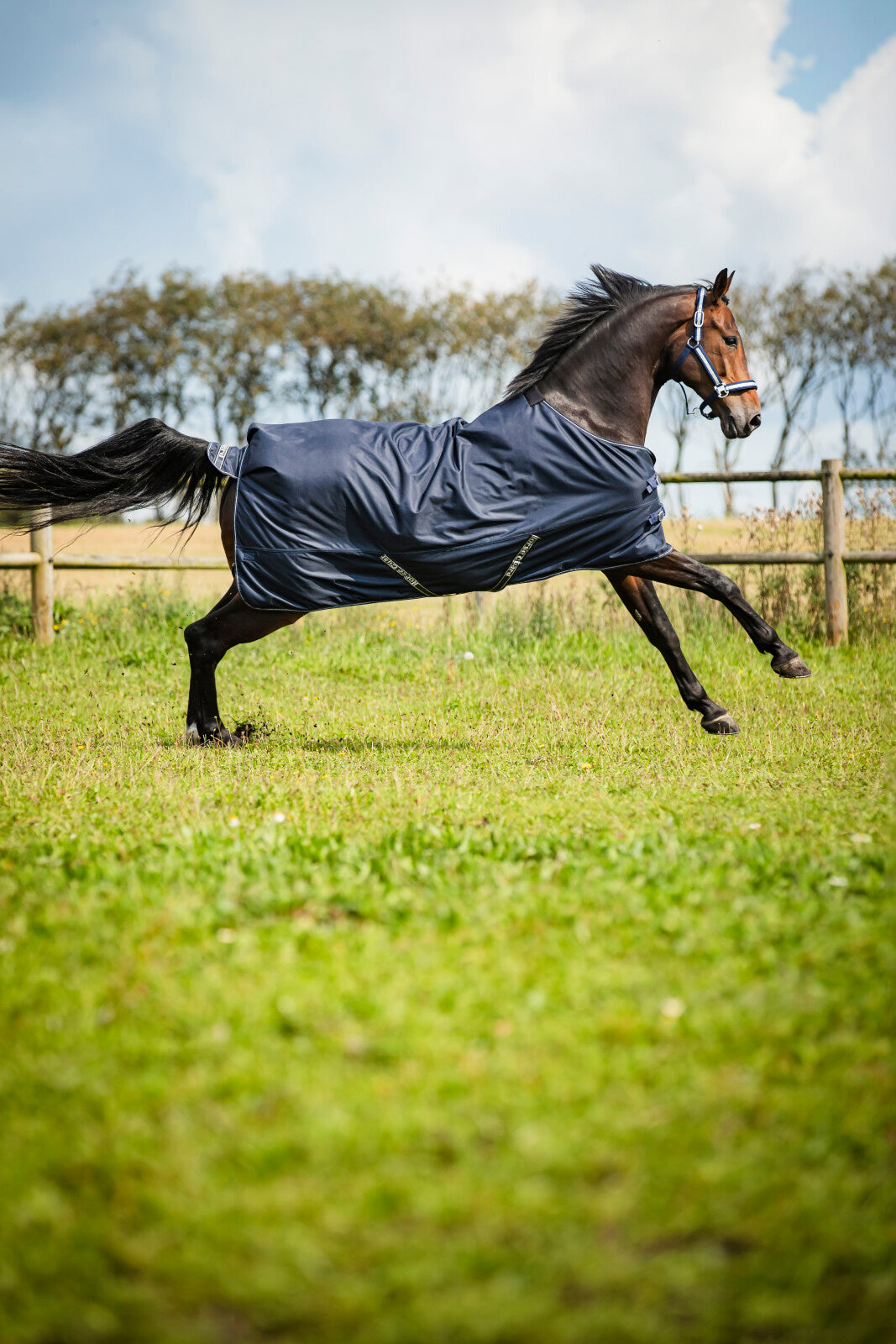 HorseGuard Landon 1200D Turnout dækken standard hals 0g