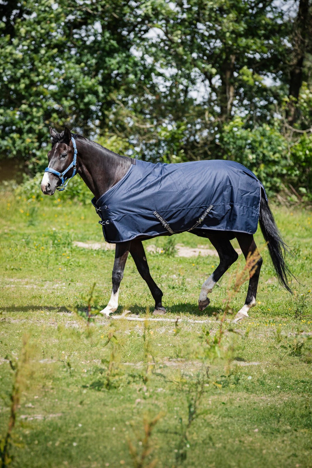 HorseGuard Landon 1200D Turnout rug standard neck 100g - Unamari