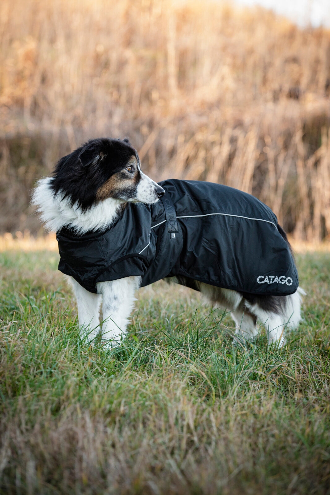 CATAGO FIR-Tech Winter dog rug