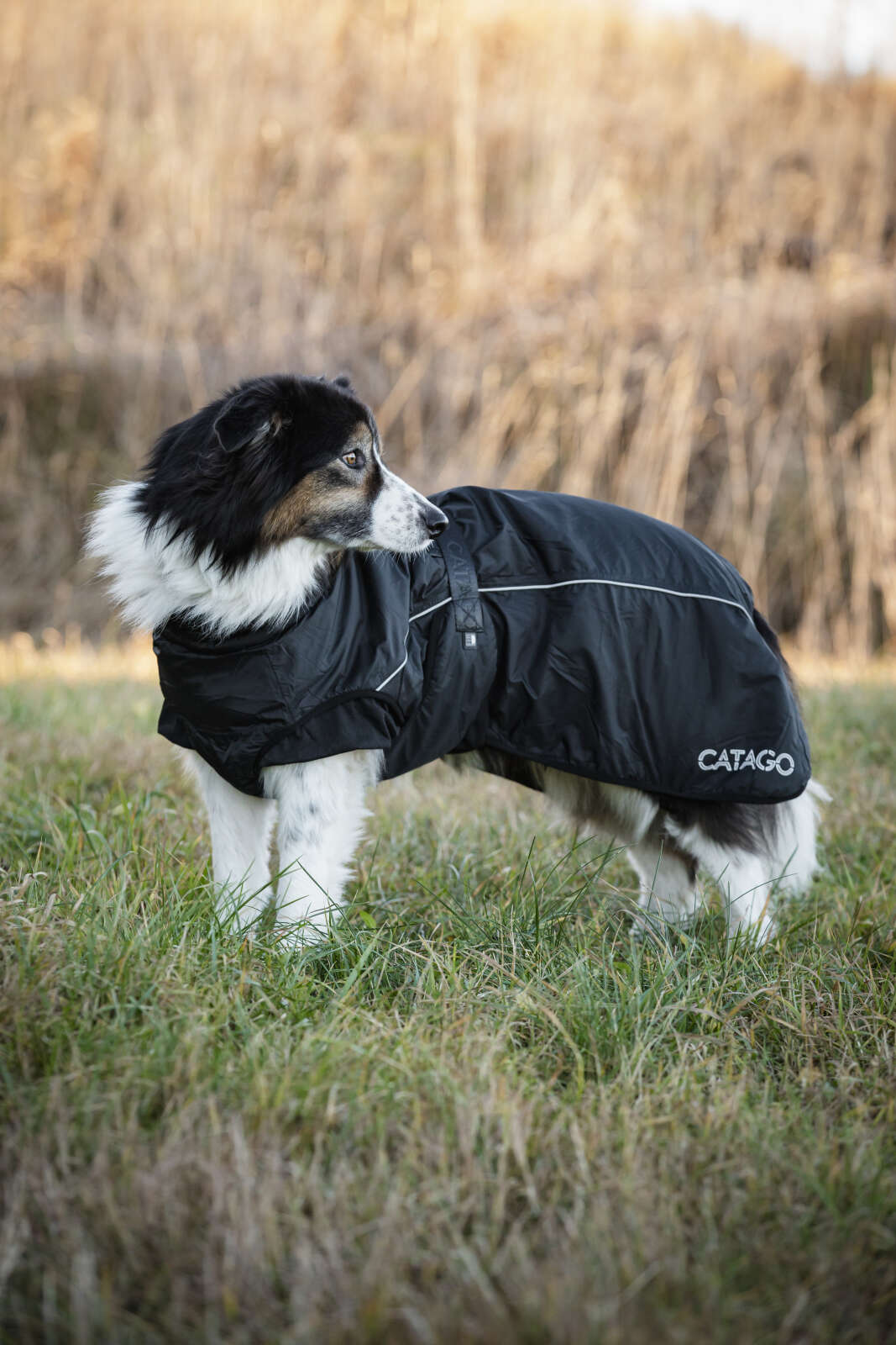 CATAGO FIR-Tech Winter dog rug