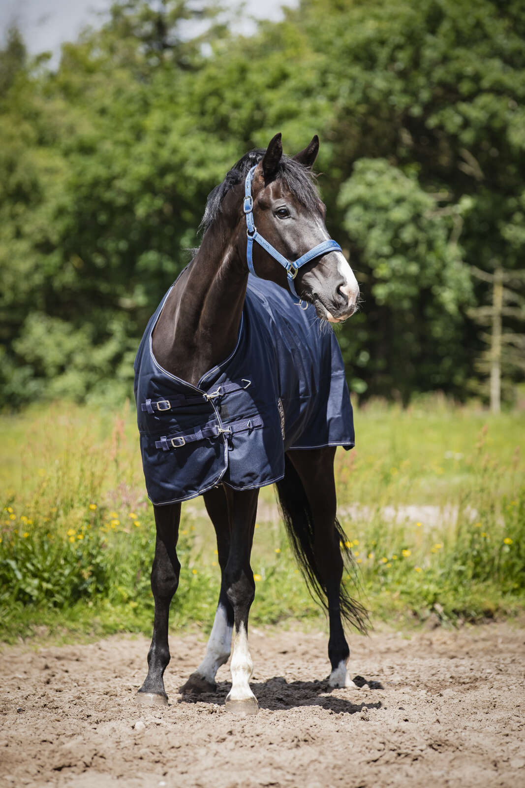 Horse Guard Landon 1200D turnout rug, standard neck, 100g