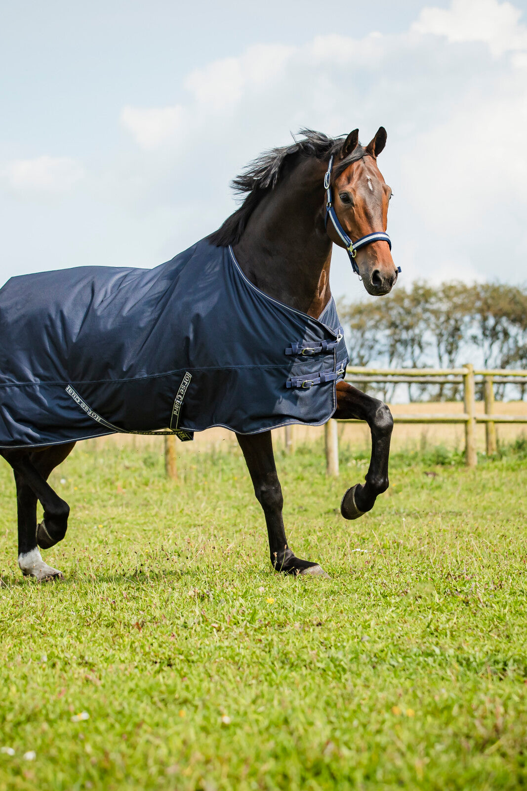 Horse Guard Landon 1200D turnout-täcke standard hals 0g
