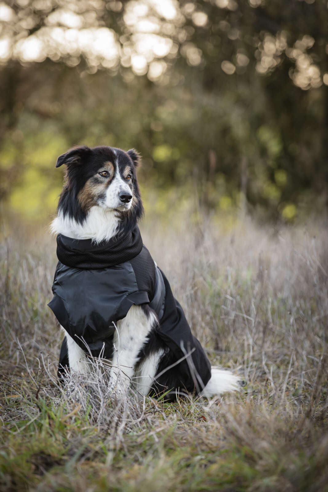 CATAGO FIR-Tech Hundedecke