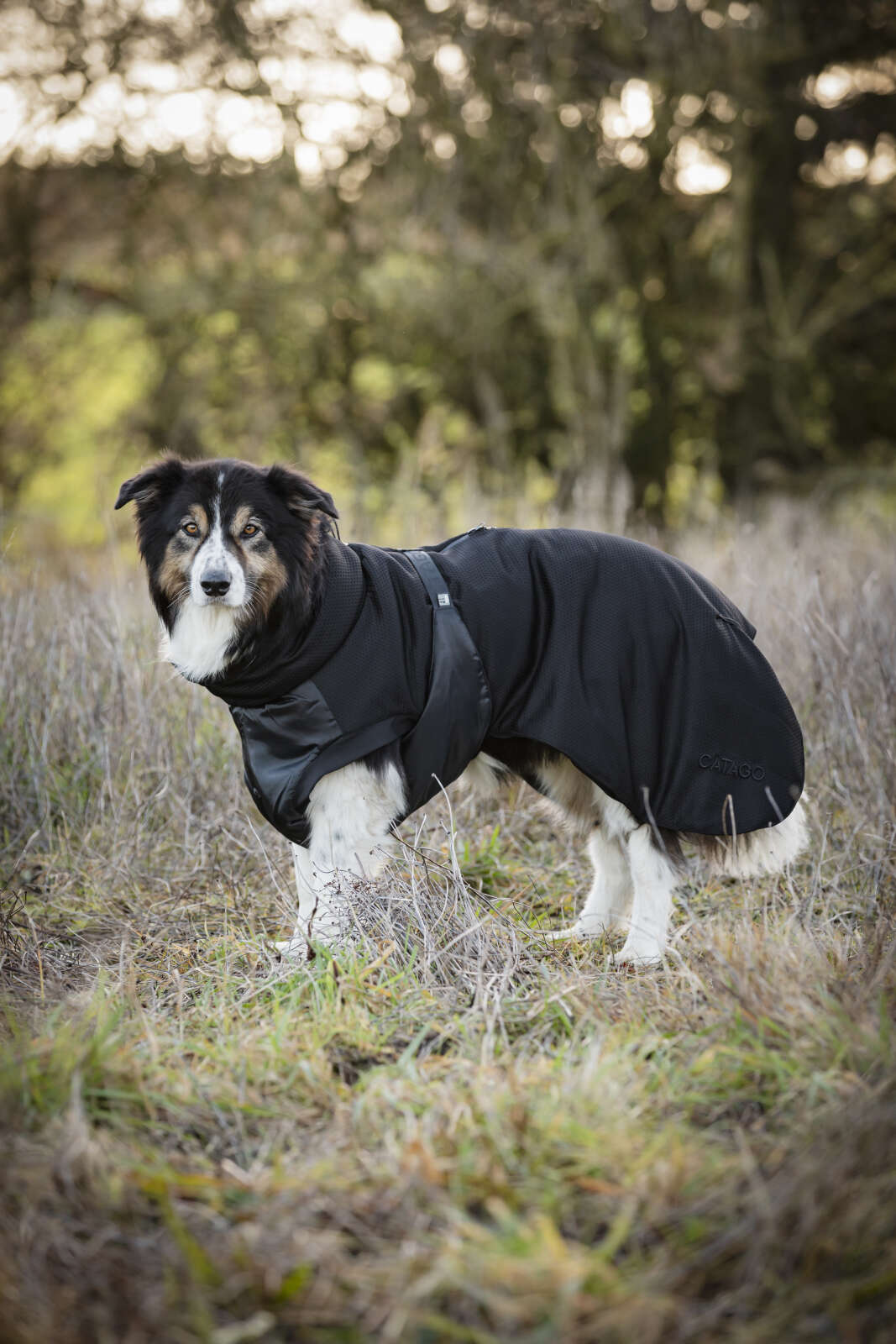 CATAGO FIR-Tech Hundedecke