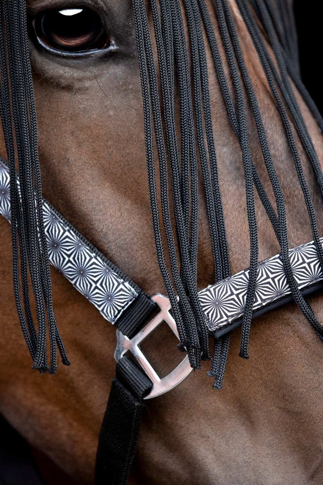 HorseGuard Madison halter