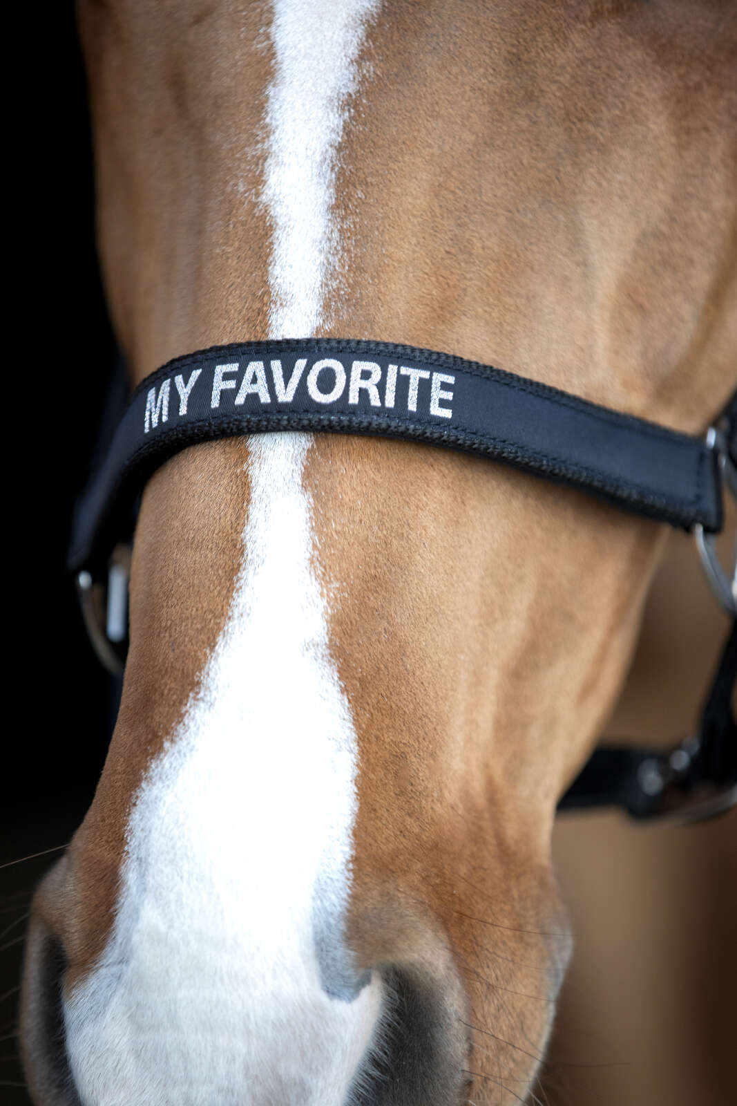 Horse Guard Malva grime "My Favorite"