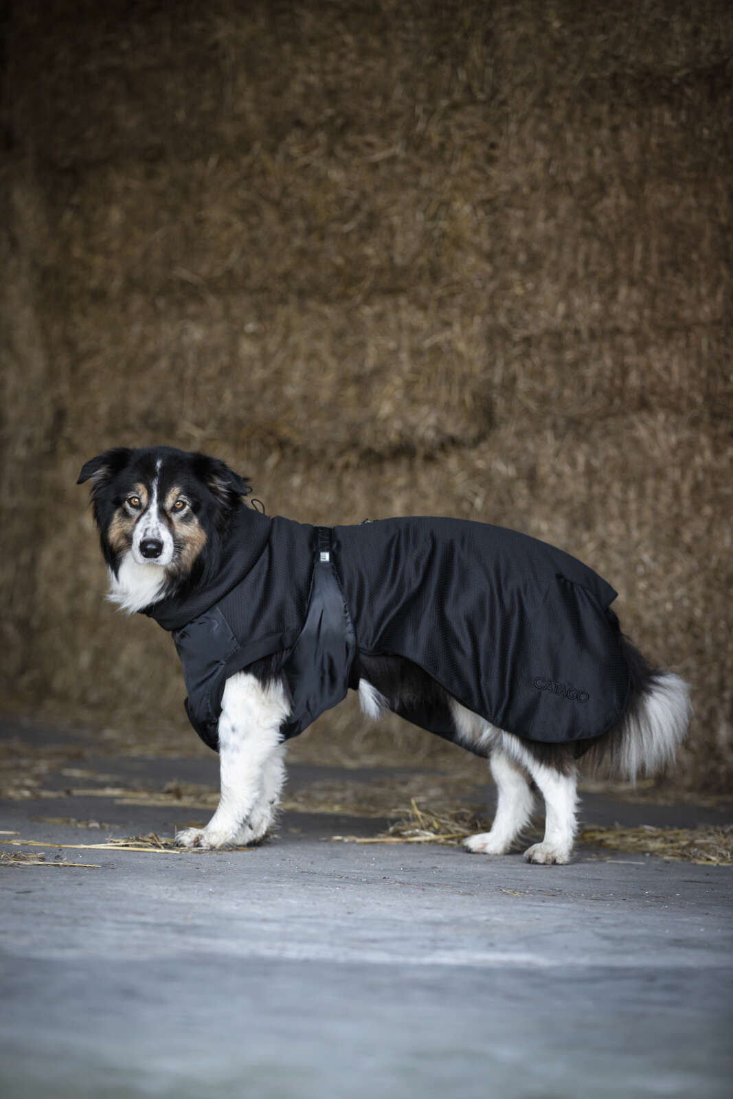 CATAGO FIR-Tech Hundedecke